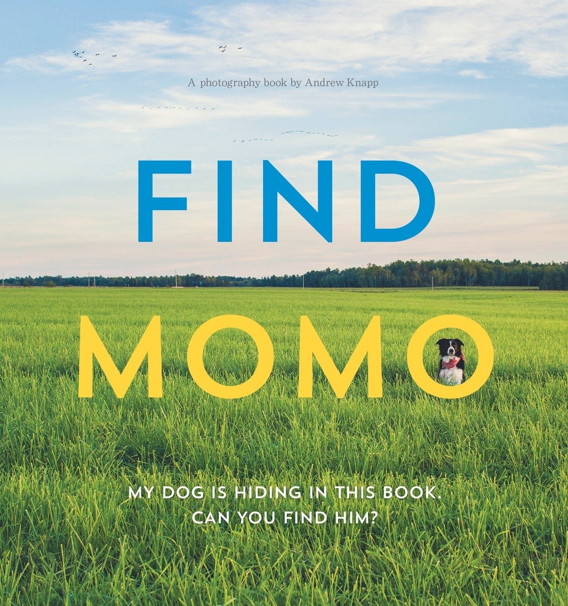 Copy of Find Momo