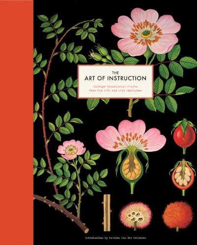 Copy of The Art of Instruction