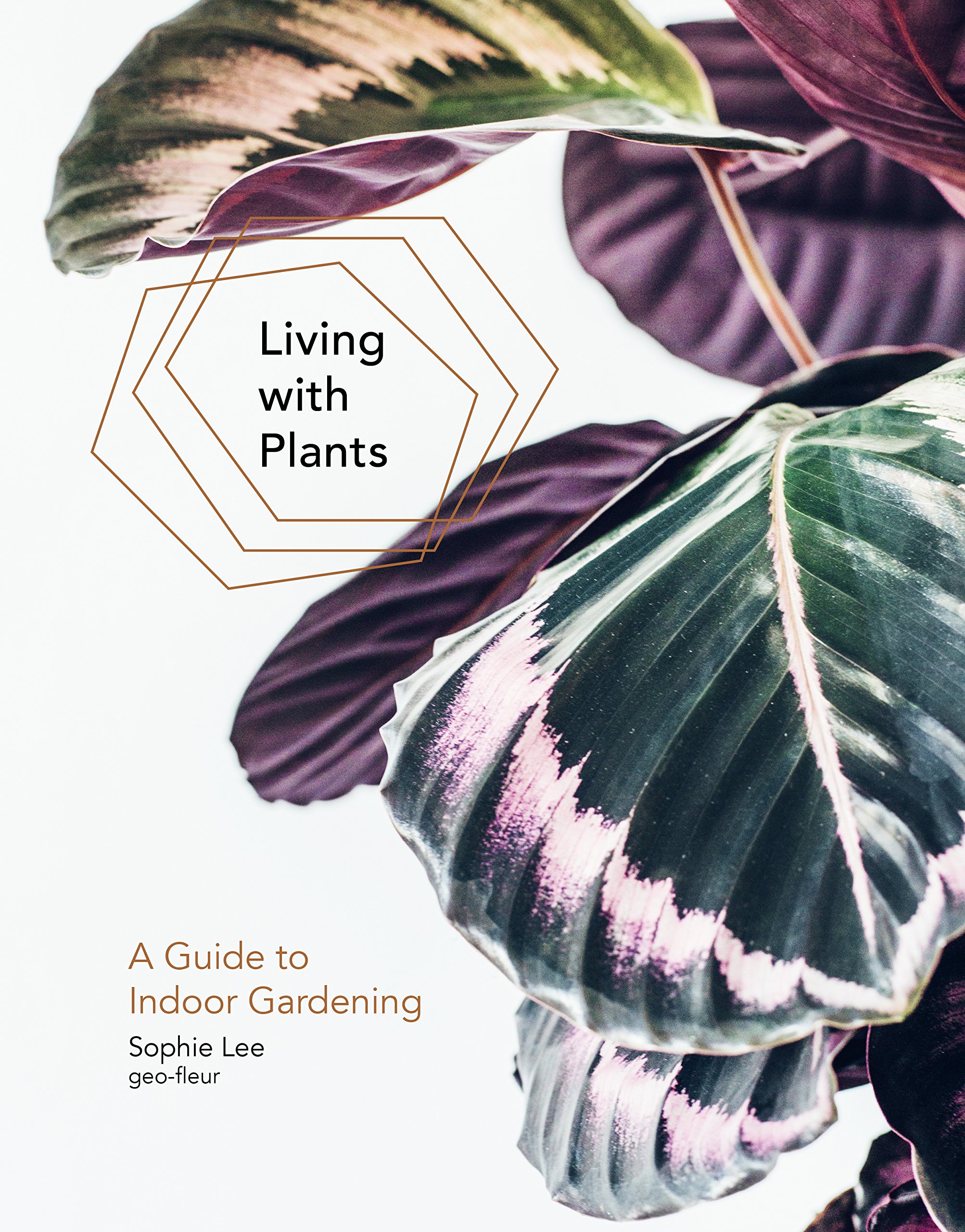 Copy of Living with Plants