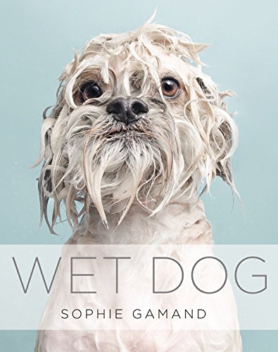 Copy of Wet Dog