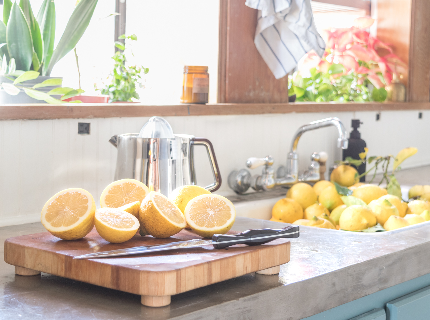lemons2-0090.jpg