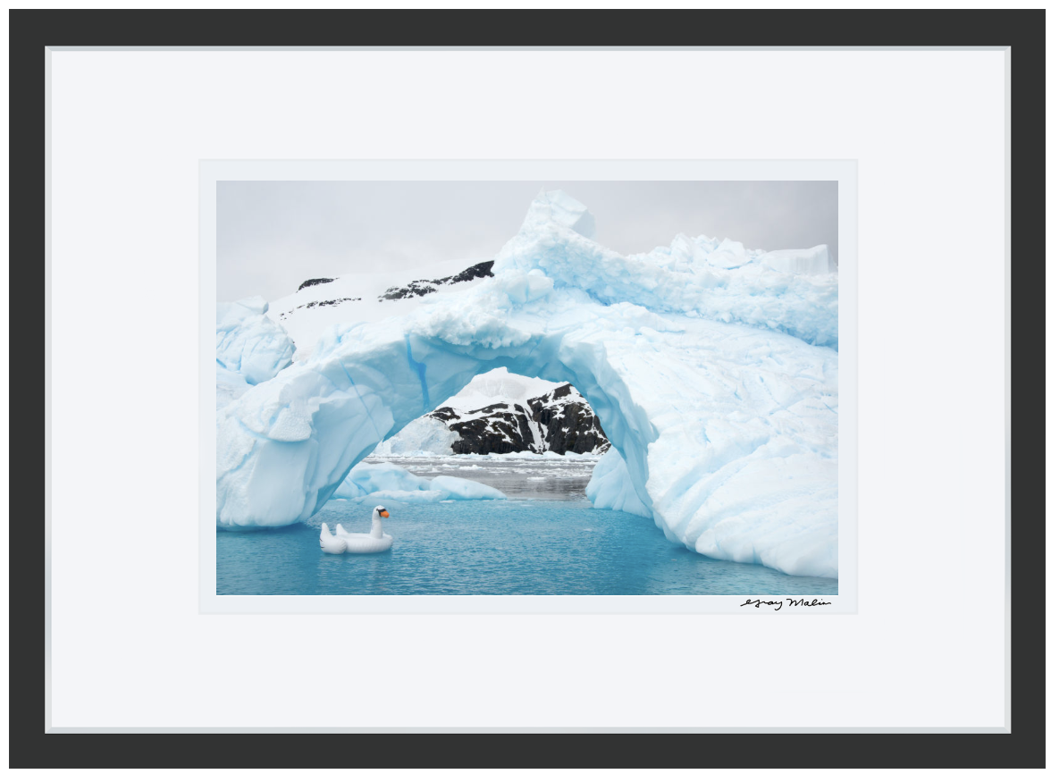 Swan Ice Bridge Antarctica: The White Continent Gray Malin