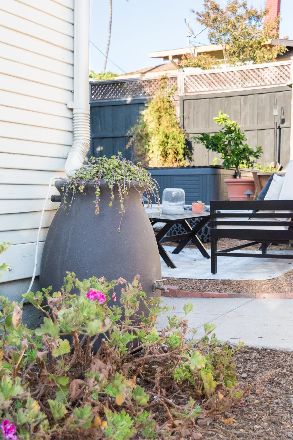How I Fill Up My Rain Barrel During a Drought with Recycled A/C Water