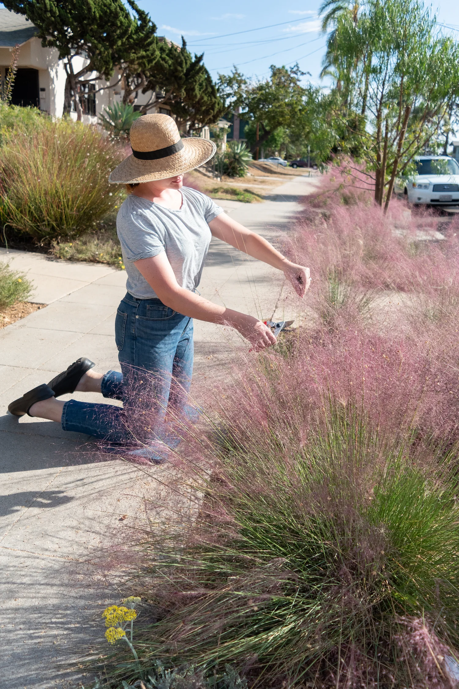 Fall Gardening in San Diego Favorite Tools.jpg
