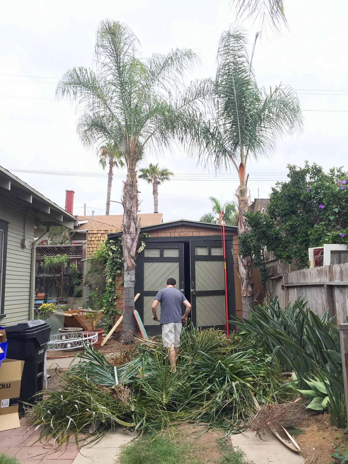 How We cleared Our Yard for Free-1265.jpg