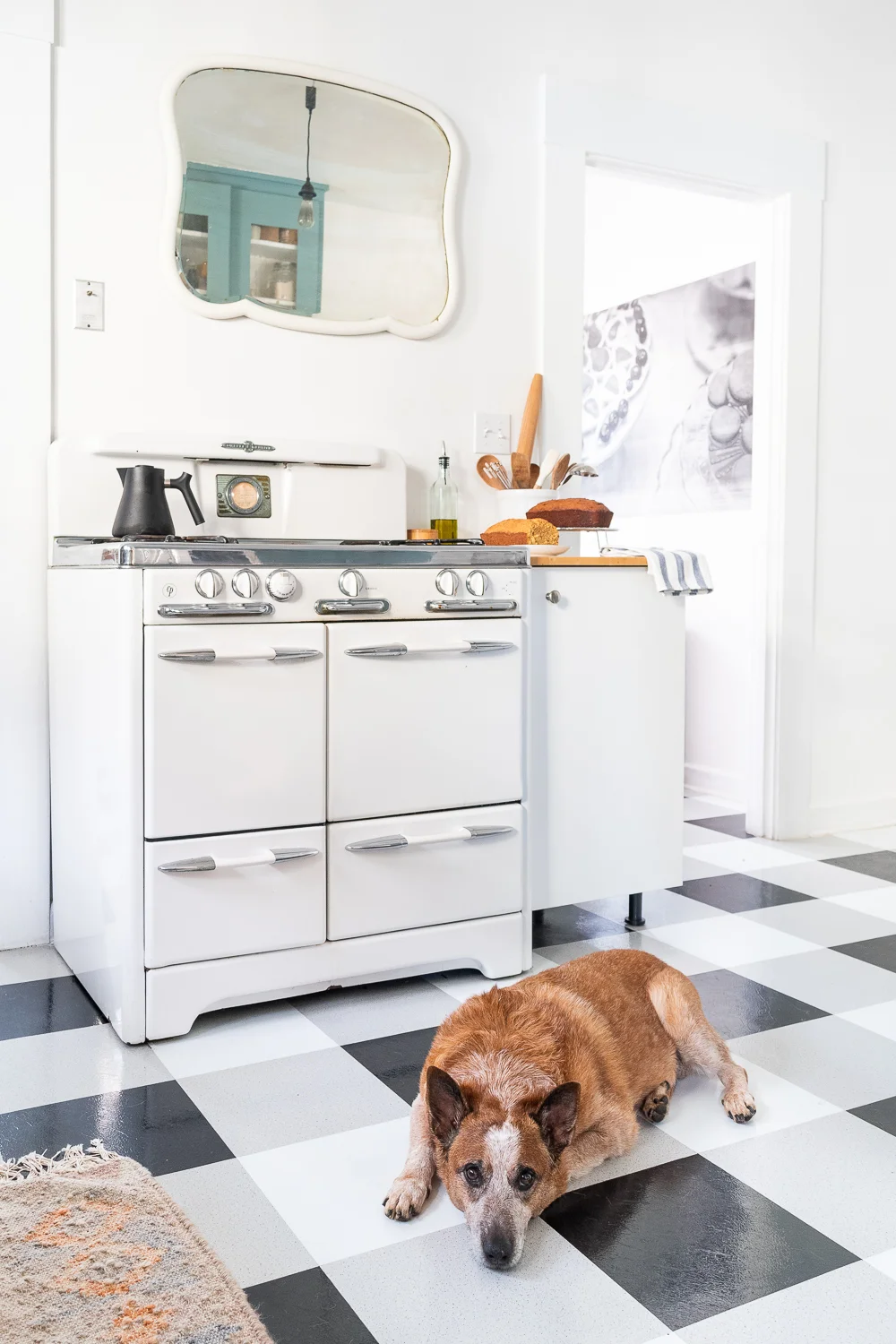 Foster Dog in Retro Kitchen with Vintage Range-0038.jpg
