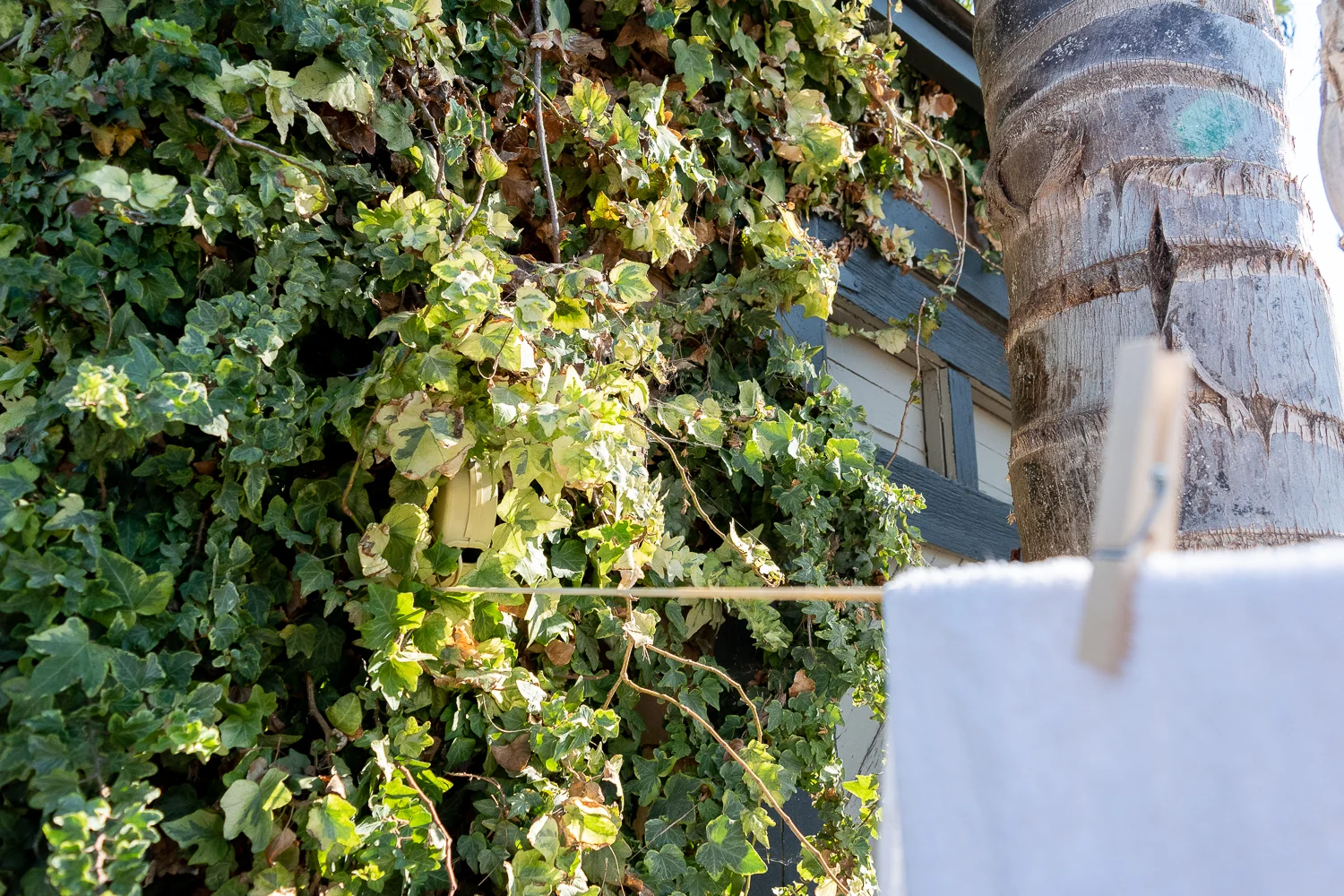 I Installed a Clothesline!