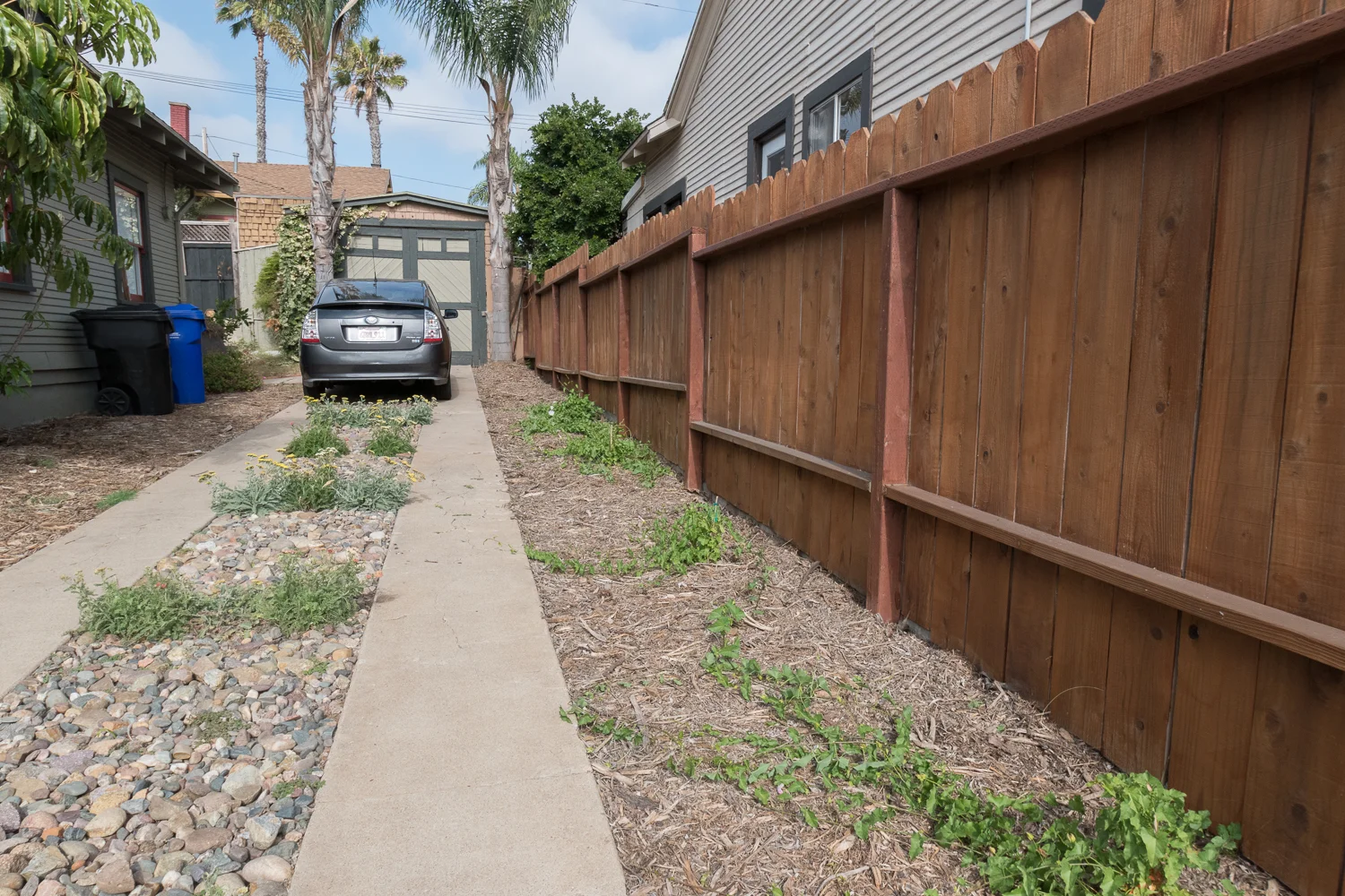The Gold Hive How to Refresh a Fence - Powerwash-0005.jpg