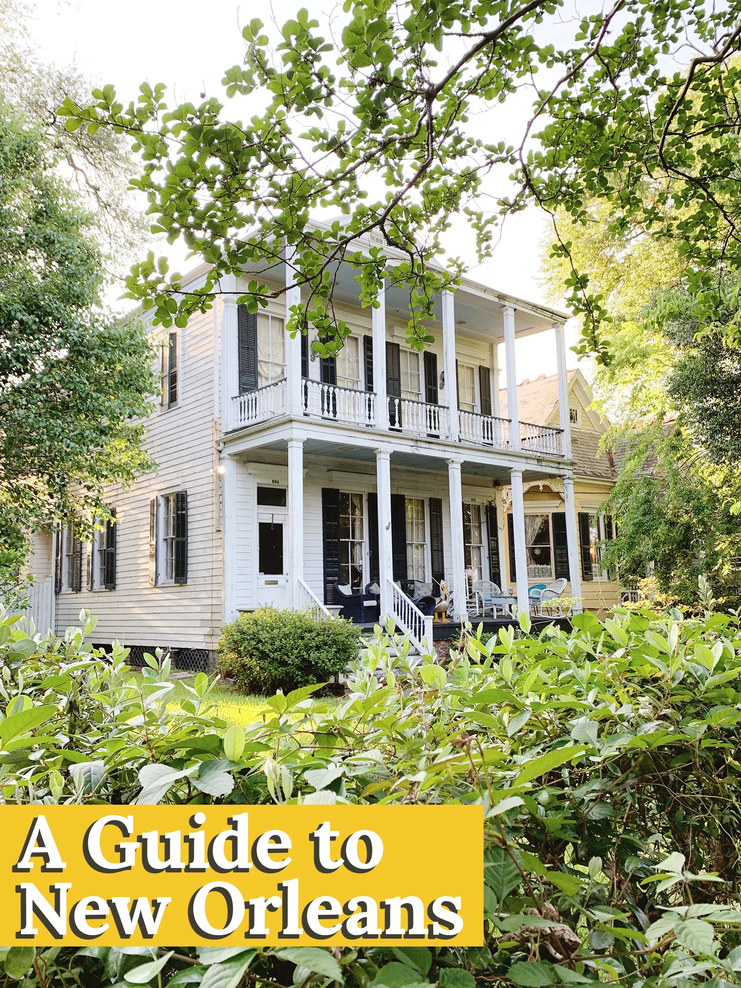 The Gold Hive - A Guide to New Orleans.jpg