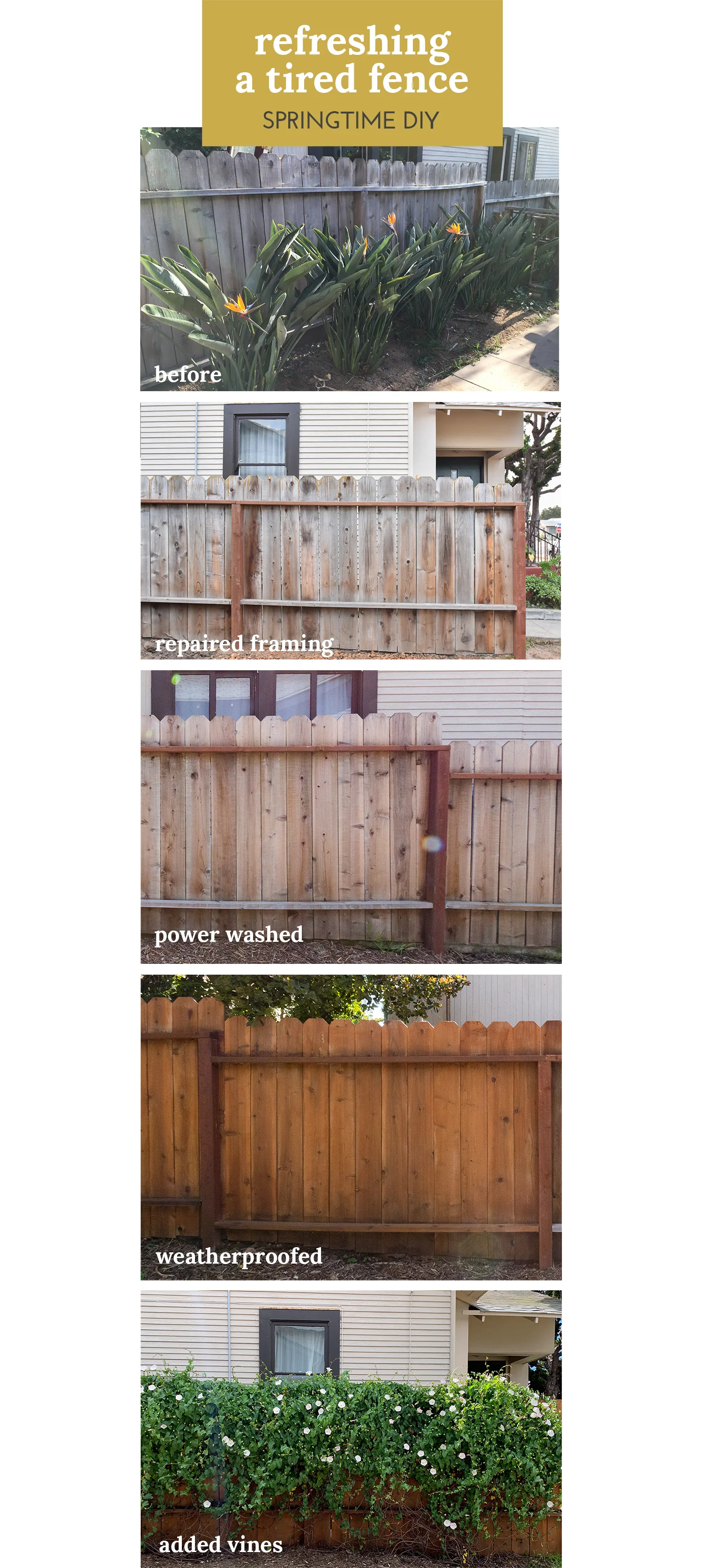 The Gold Hive How to Refresh a Fence - SPRINGTIME DIY REFRESHING A TIRED FENCE.jpg
