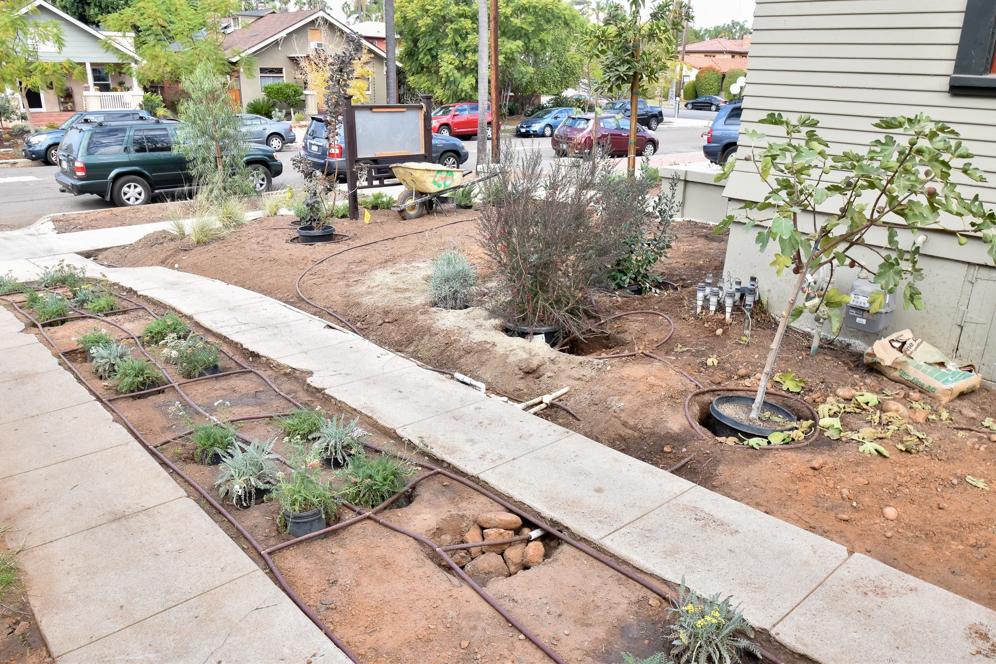 Installing the Drought Tolerant Garden Front Yard The Gold Hive-9966.jpg