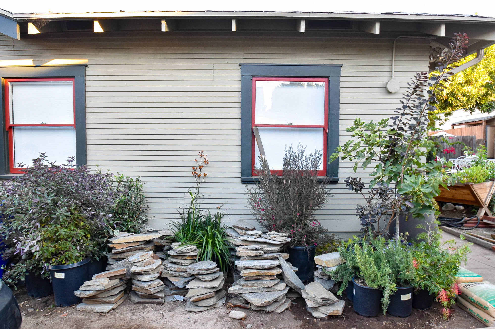 Installing the Drought Tolerant Garden Front Yard The Gold Hive-9906.jpg