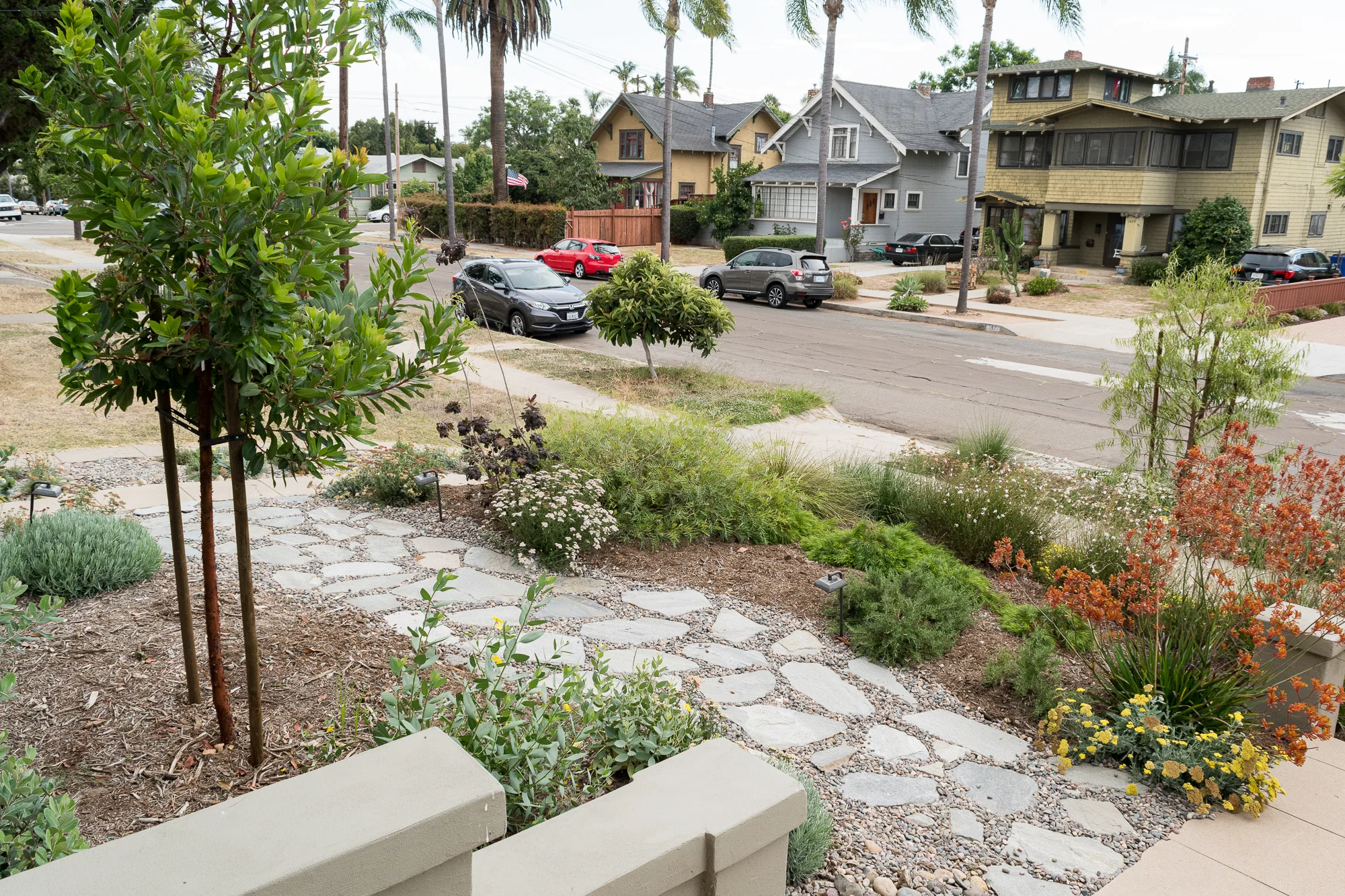 Installing the Drought Tolerant Garden Front Yard The Gold Hive-0084.jpg