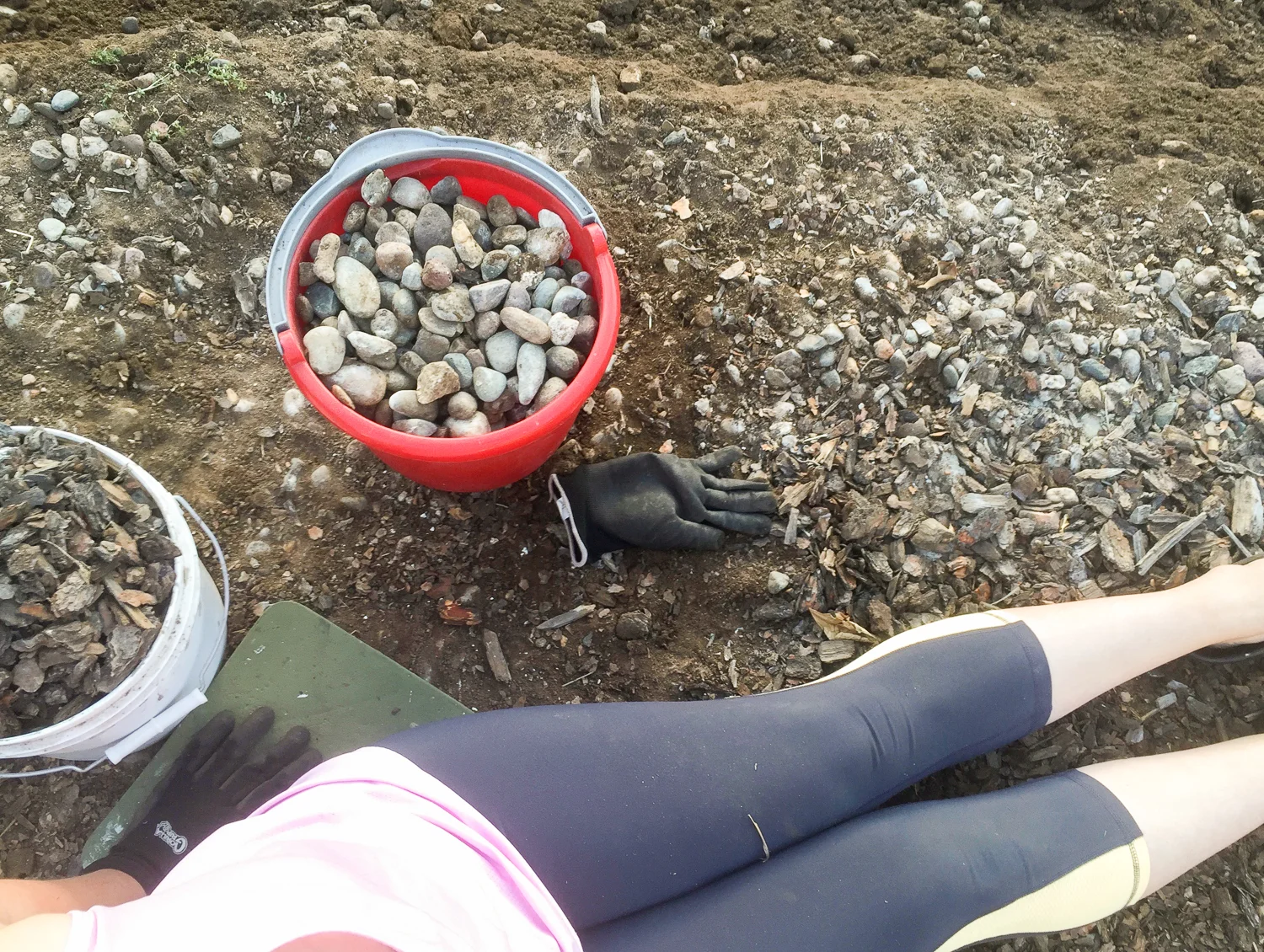 How We cleared Our Yard for Free-6869.jpg