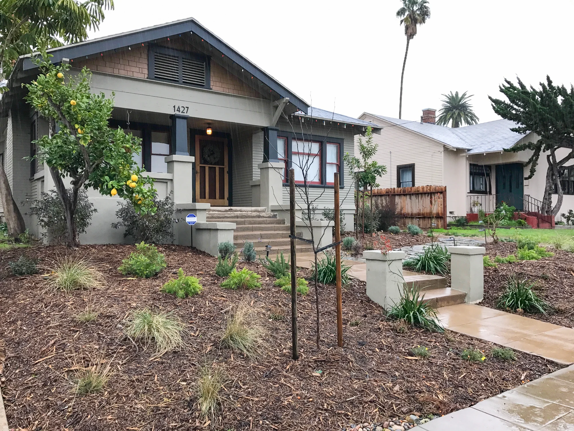 Installing the Drought Tolerant Garden Front Yard The Gold Hive-1098.jpg