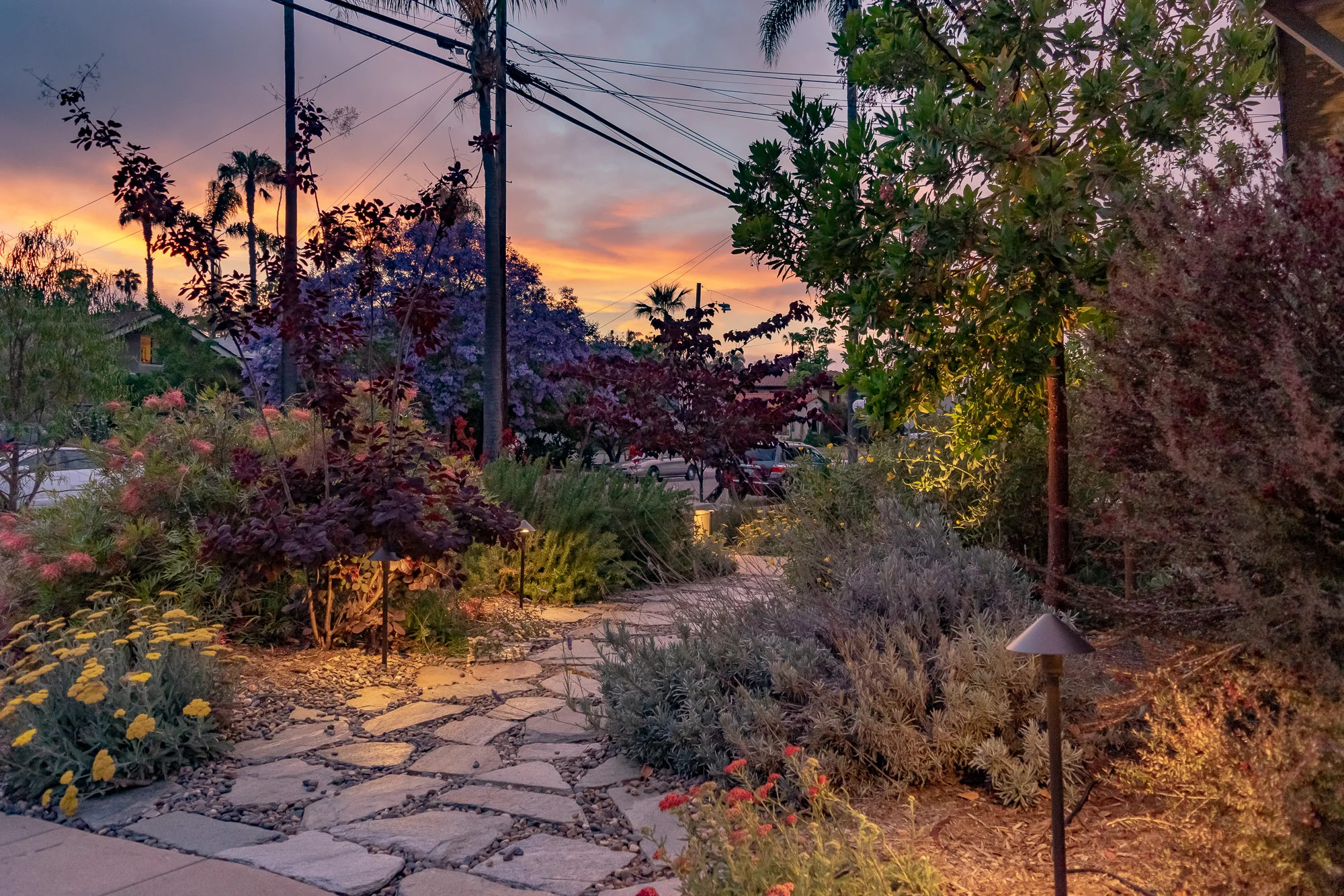 The Whys, Whats, and Hows of Landscape Lighting