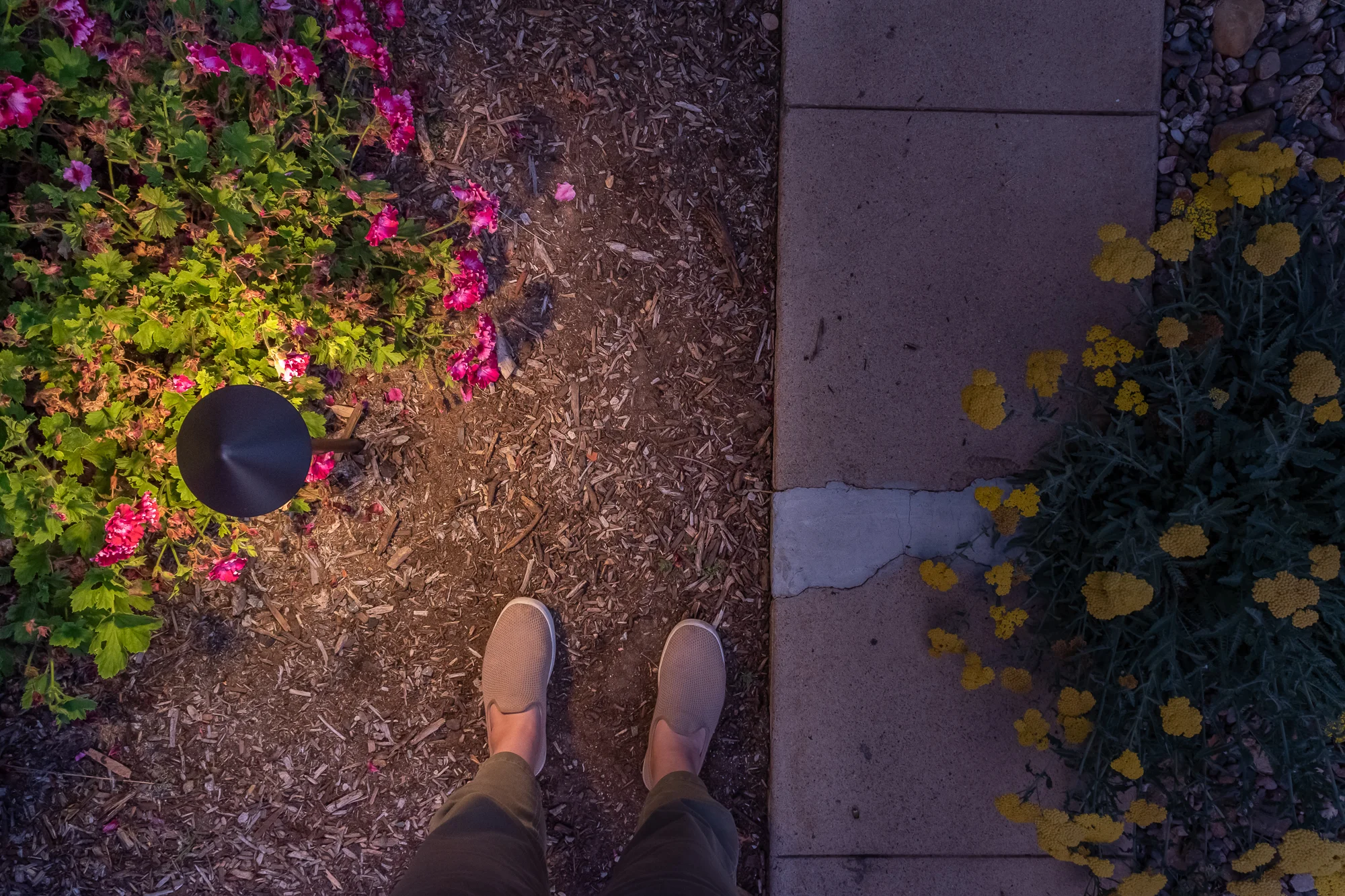 The Gold Hive Landscape Lighting Kichler How To California Garden Front Yard-0244.jpg