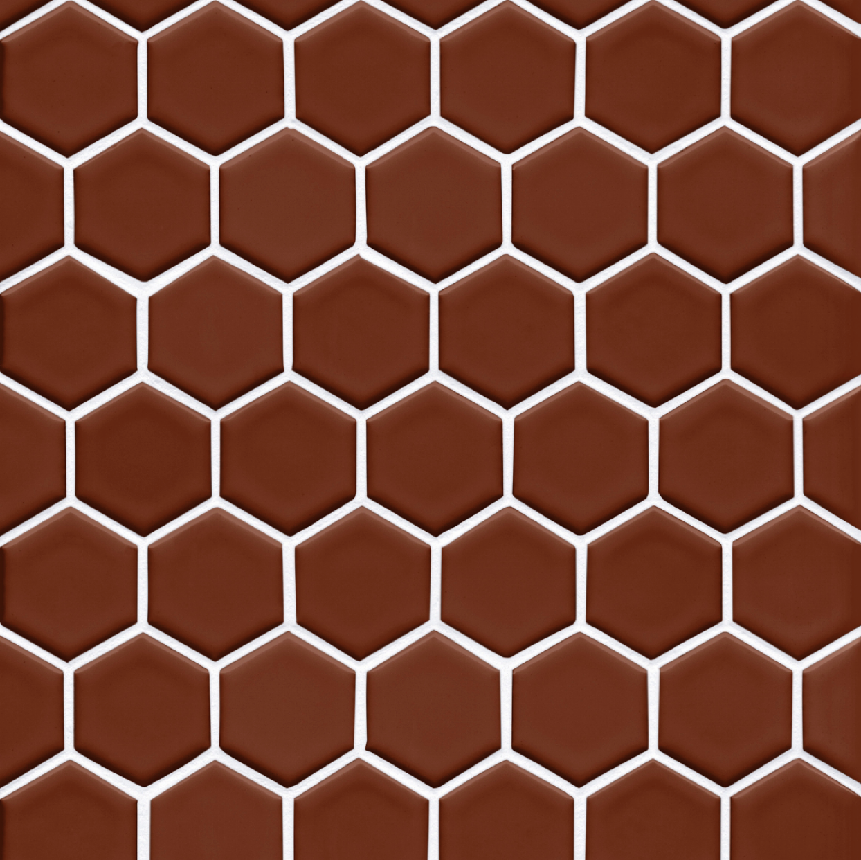2" hexagons in Sienna the tile shop bathroom floor tile