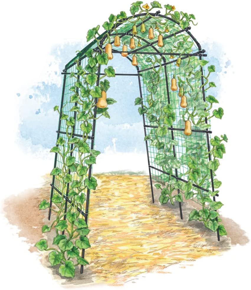 gardener's supply squash tunnel sweet pea play fort playhouse