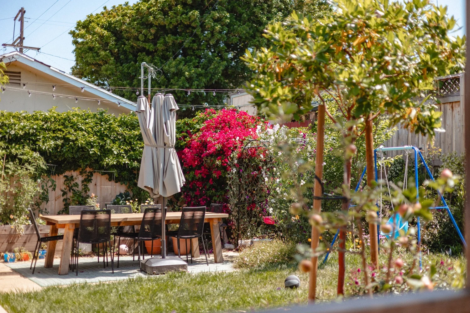 The Backyard Overhaul
