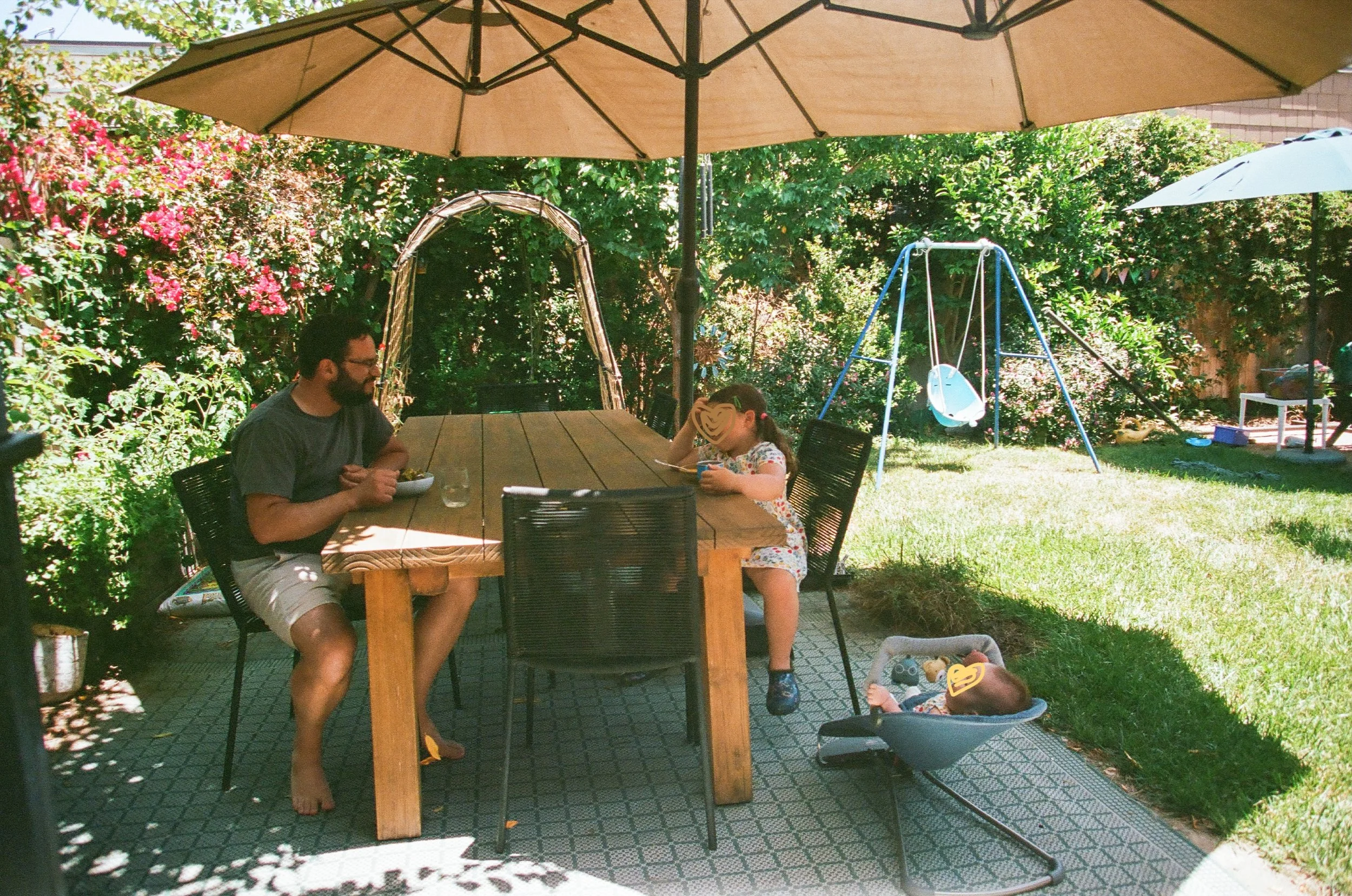 Backyard Renovation Report Card: Four Years of Tree Growth (Wins) and Decomposed Granite (Losers)