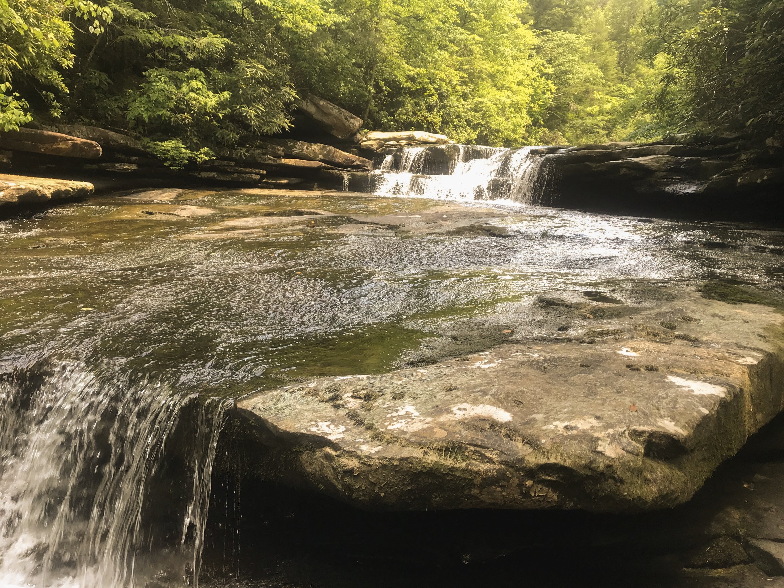 lilly-pad-obed-tennessee_4673.jpg