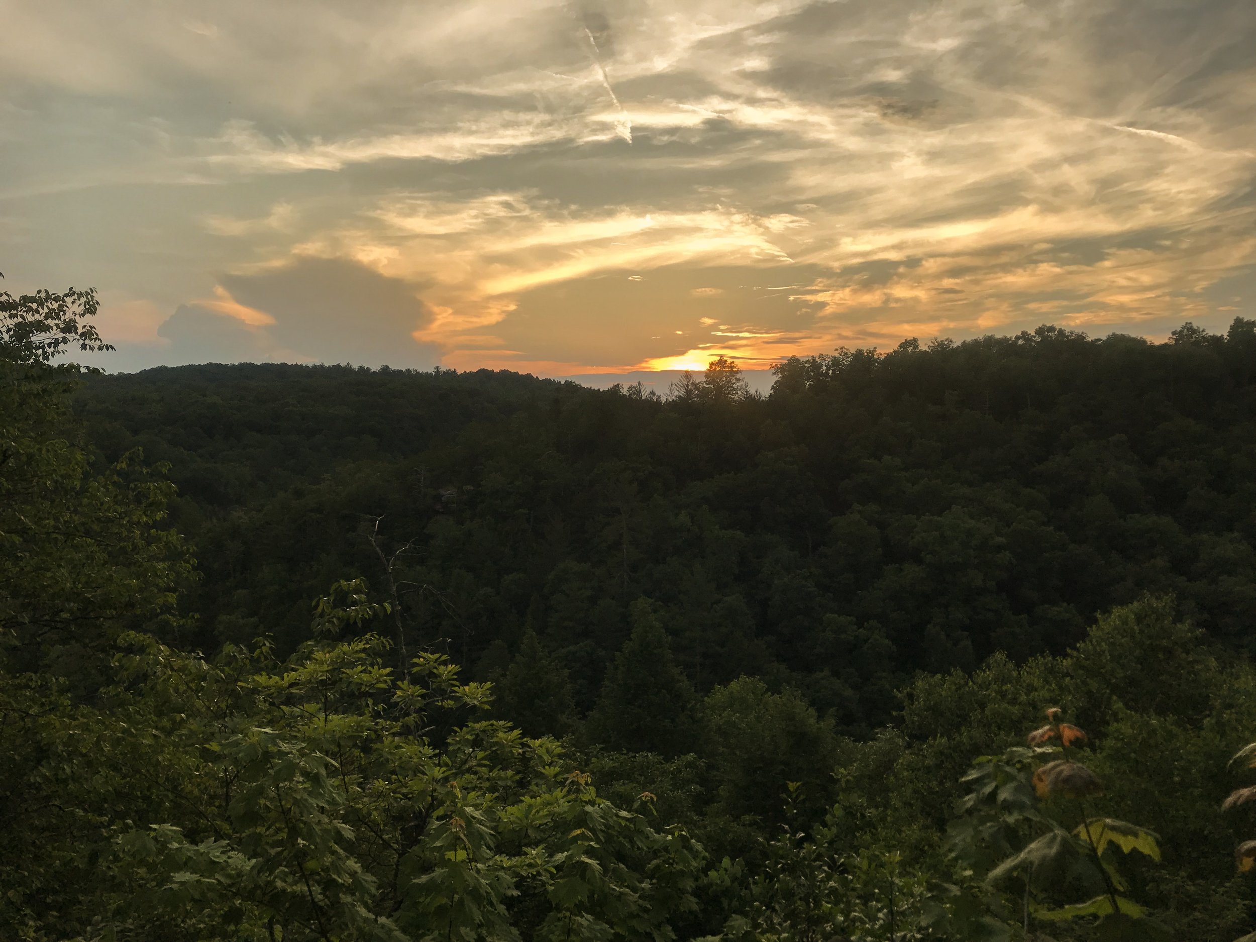 lilly-pad-obed-tennessee_4765.jpg