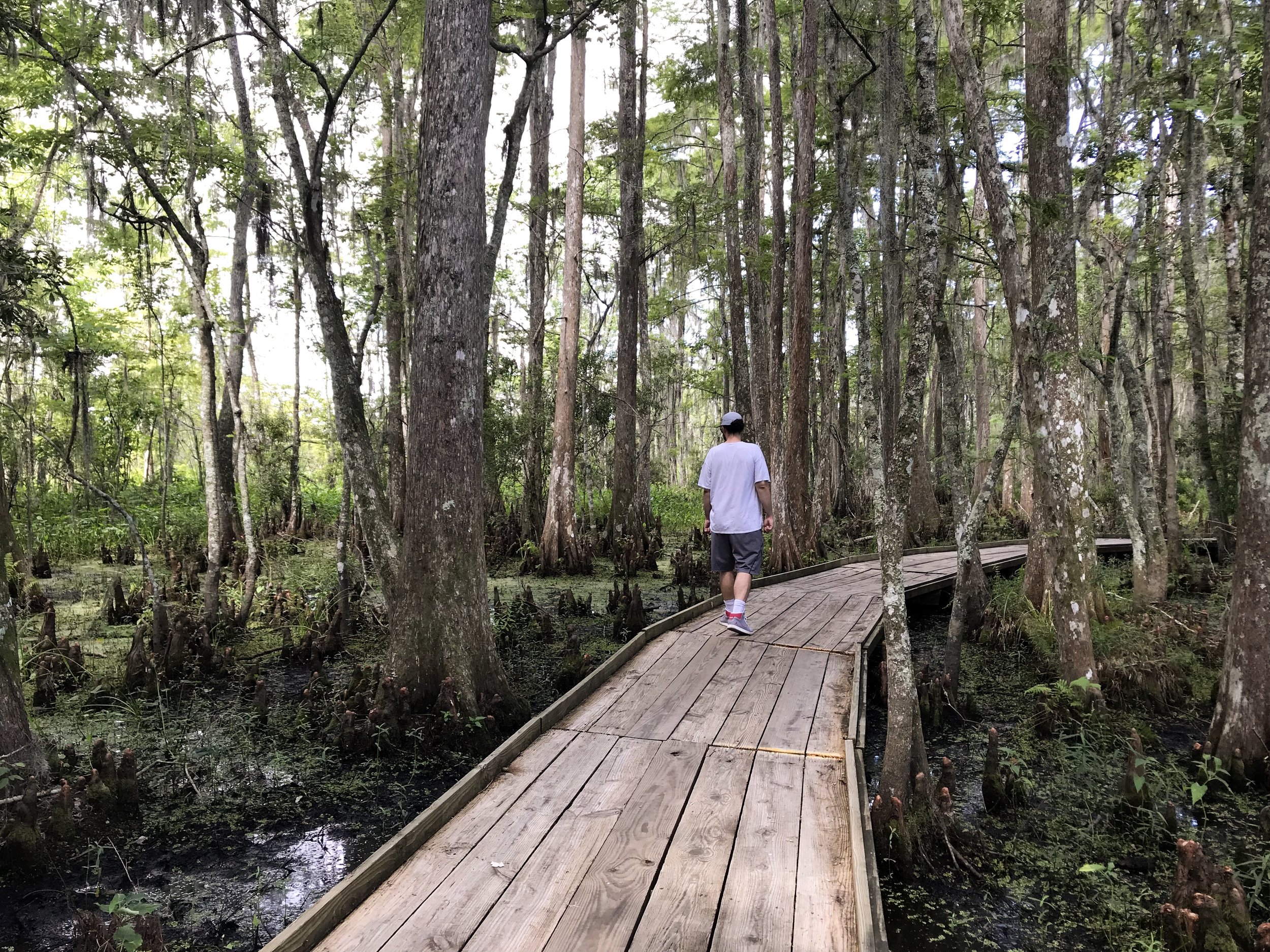 jean-lafitte-national-park5084.jpg