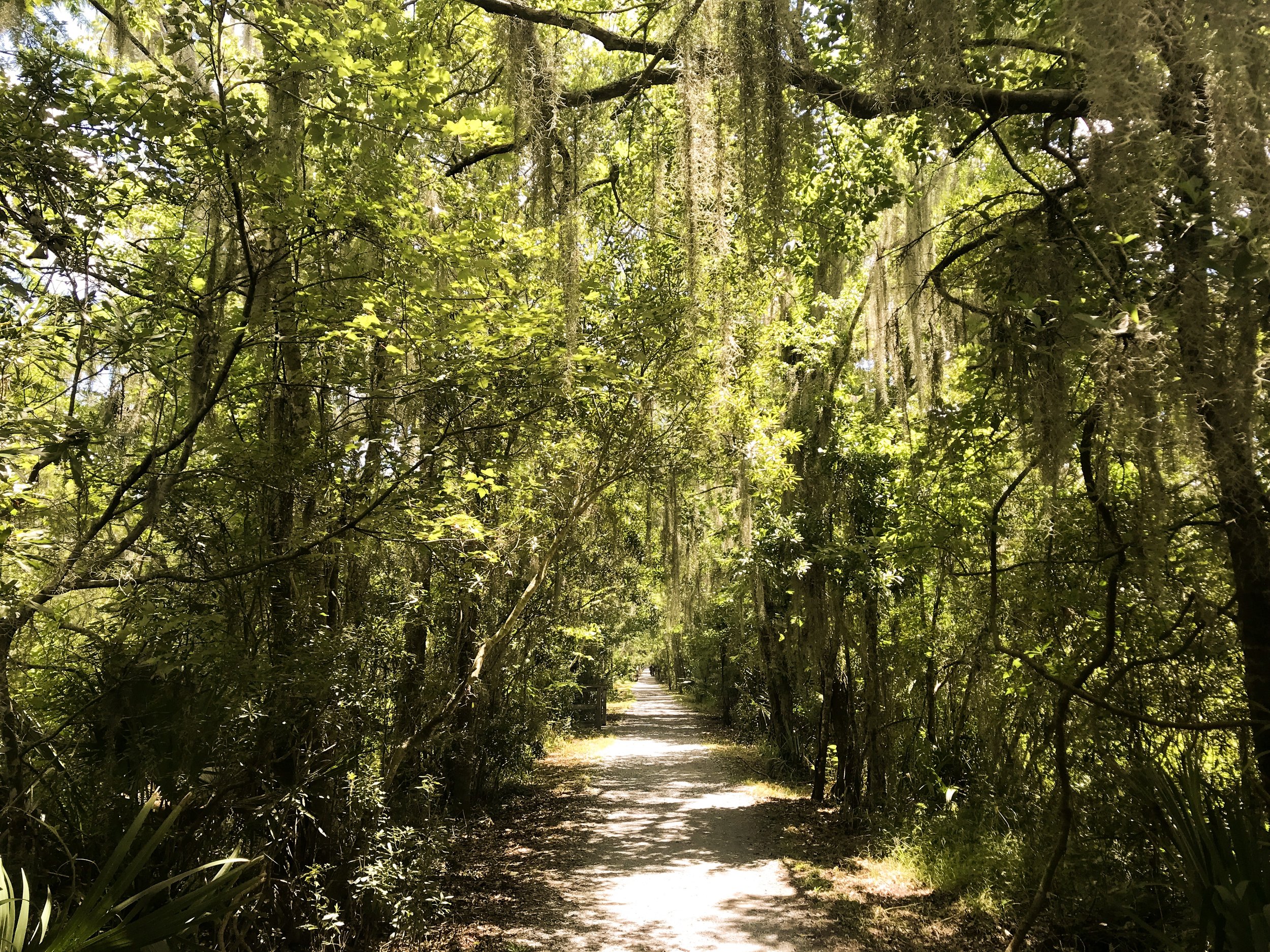 jean-lafitte-national-park5110.jpg
