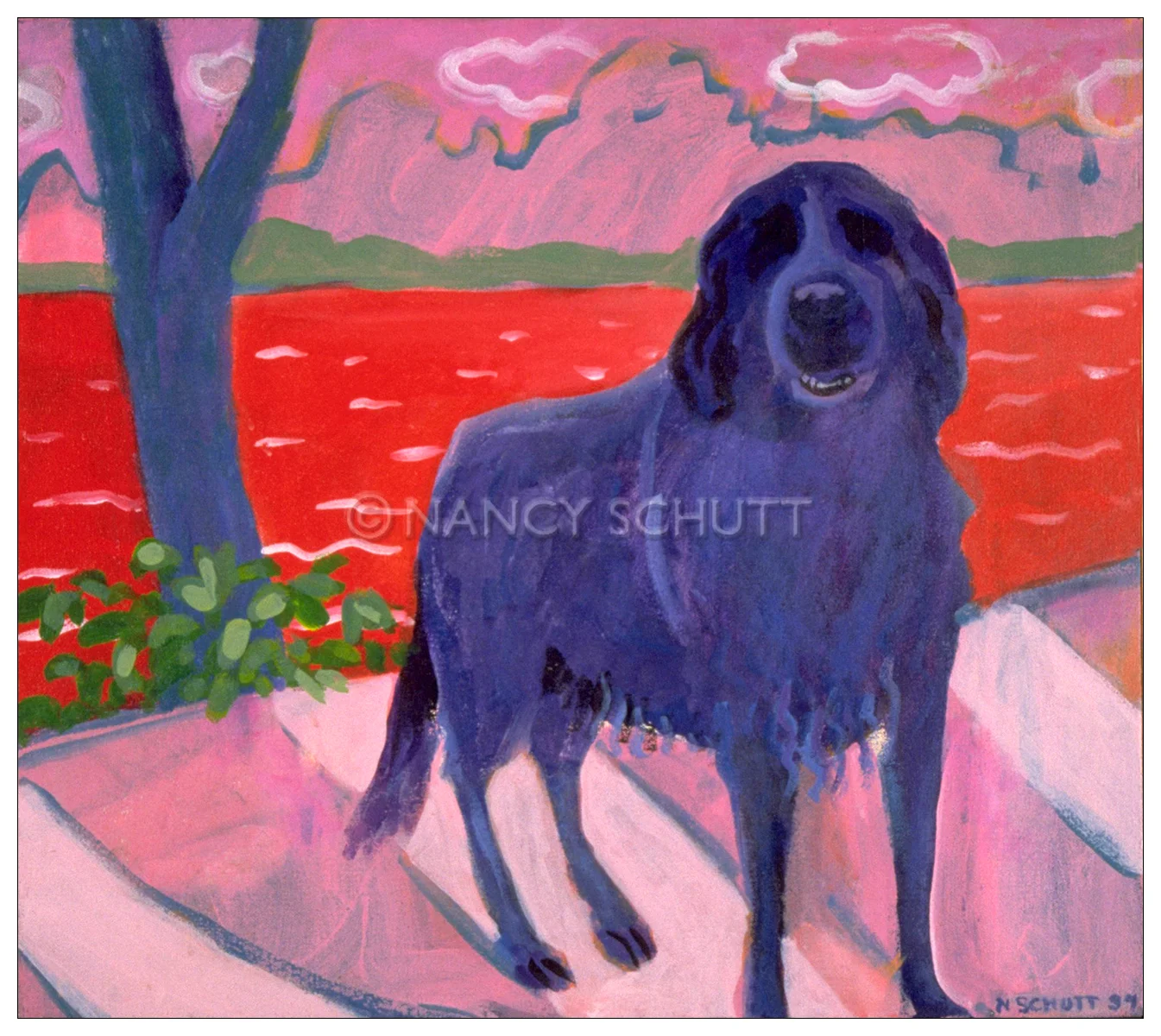 Lake Dog, 16x18 © 2008 Nancy Schutt, all rights reserved