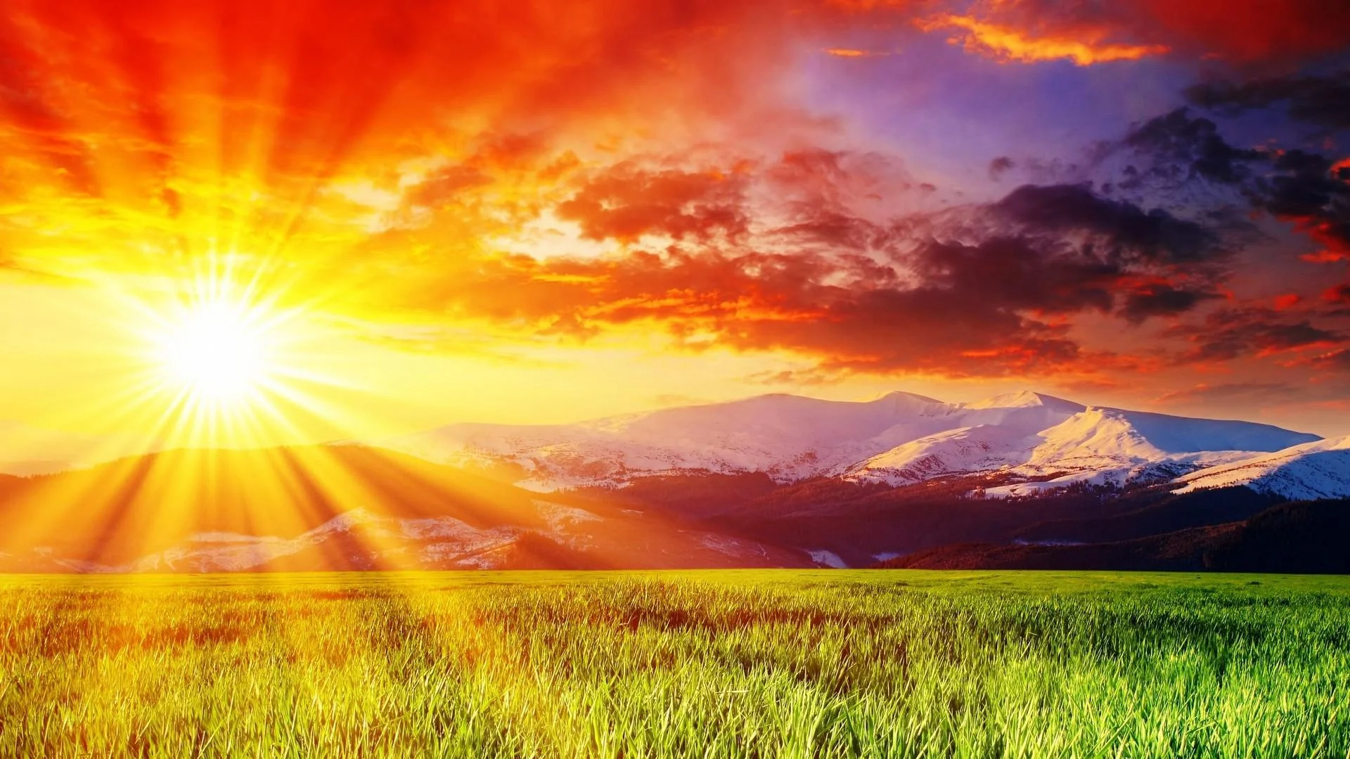 magnificent-sunrays-high-definition-wallpaper-download-sunrays-images-free.jpg