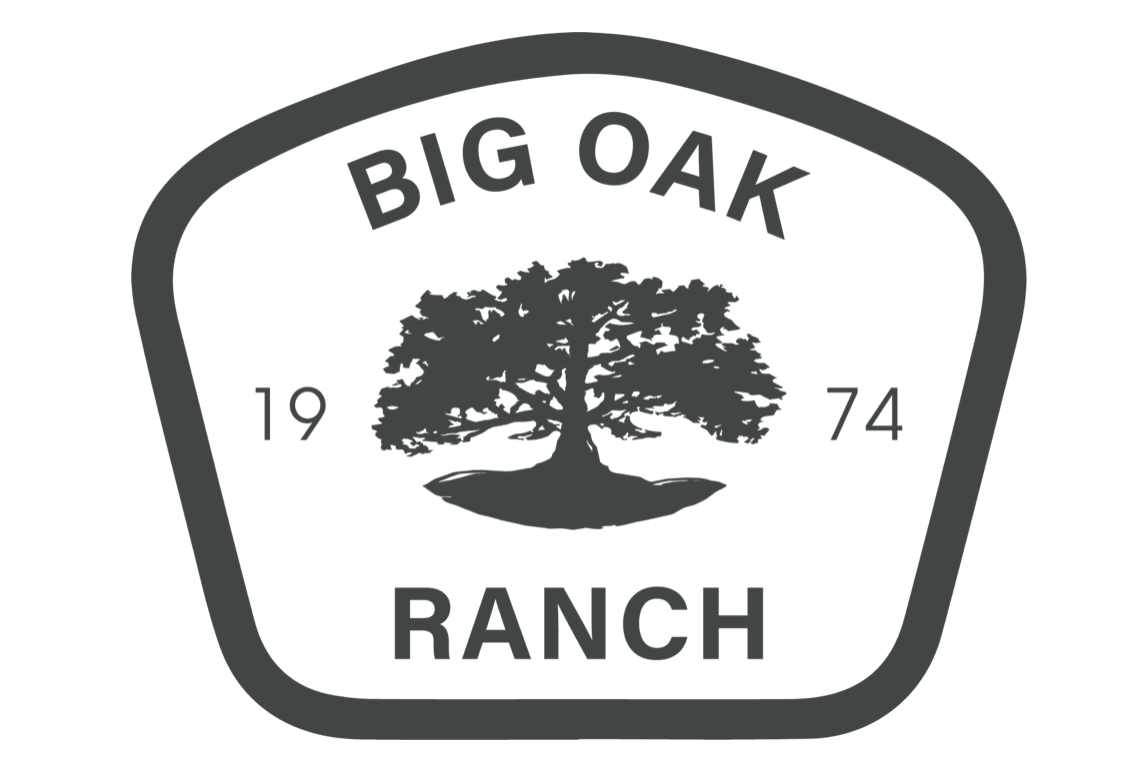 bigoaklogo.jpg