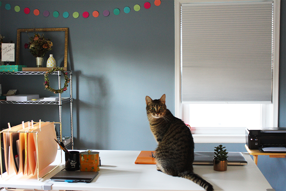 I love the soft light that comes in the evening.