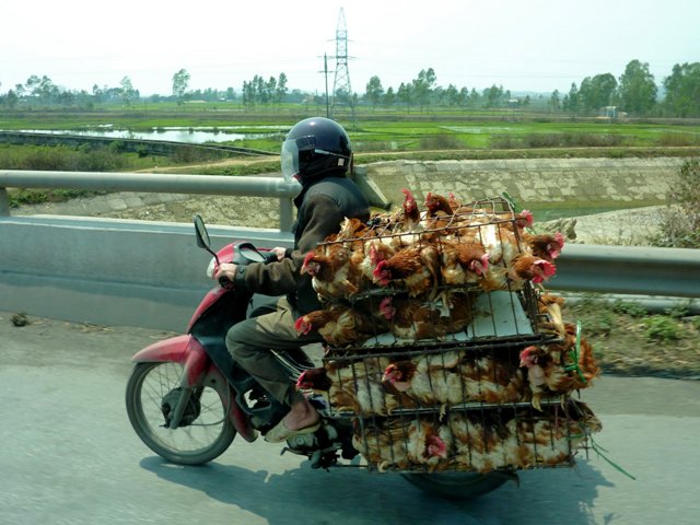 The Road to Ha Long Bay Cover.JPG