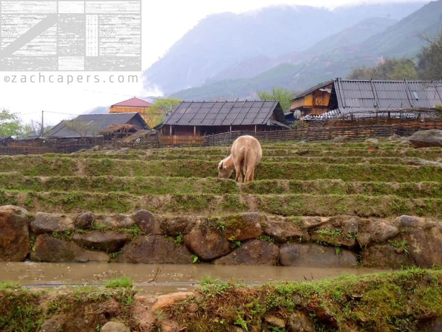 Sapa Vietnam by Zach Capers (26).JPG