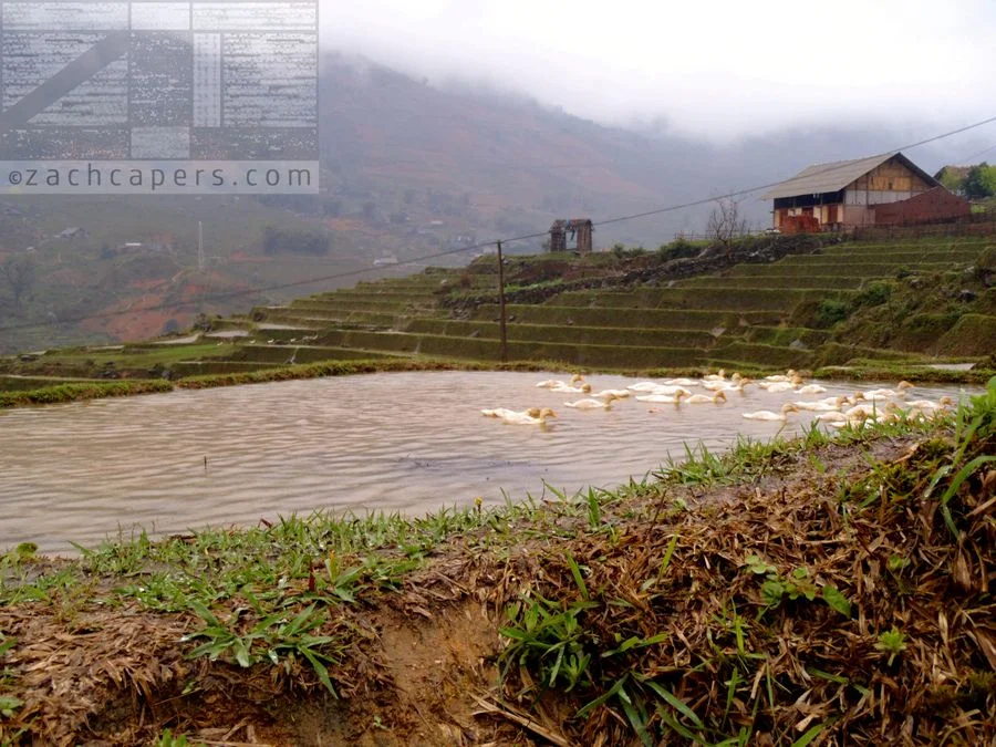 Sapa Vietnam by Zach Capers (28).JPG