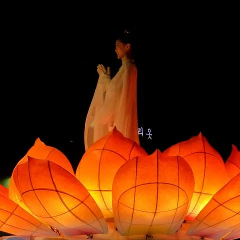 Lotus Lantern Festival Cover by Zach Capers.JPG