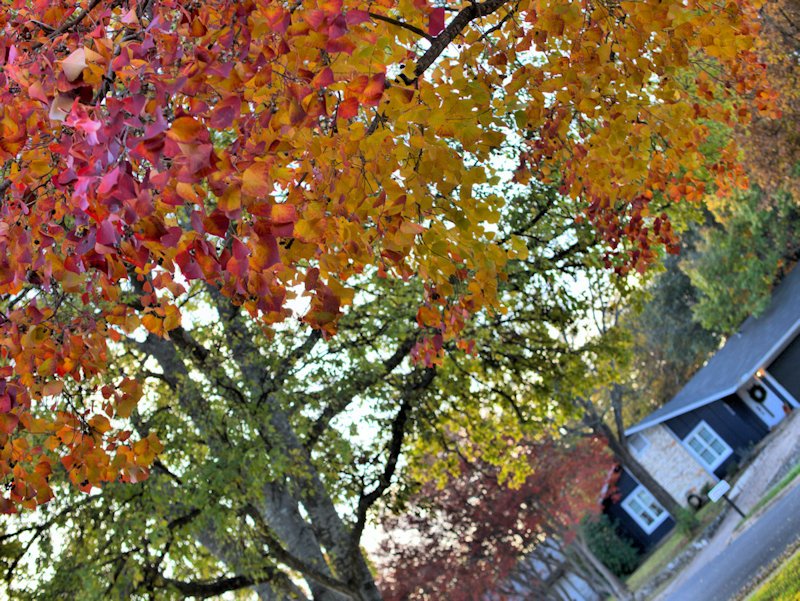 Austin - Dec 14, 2025