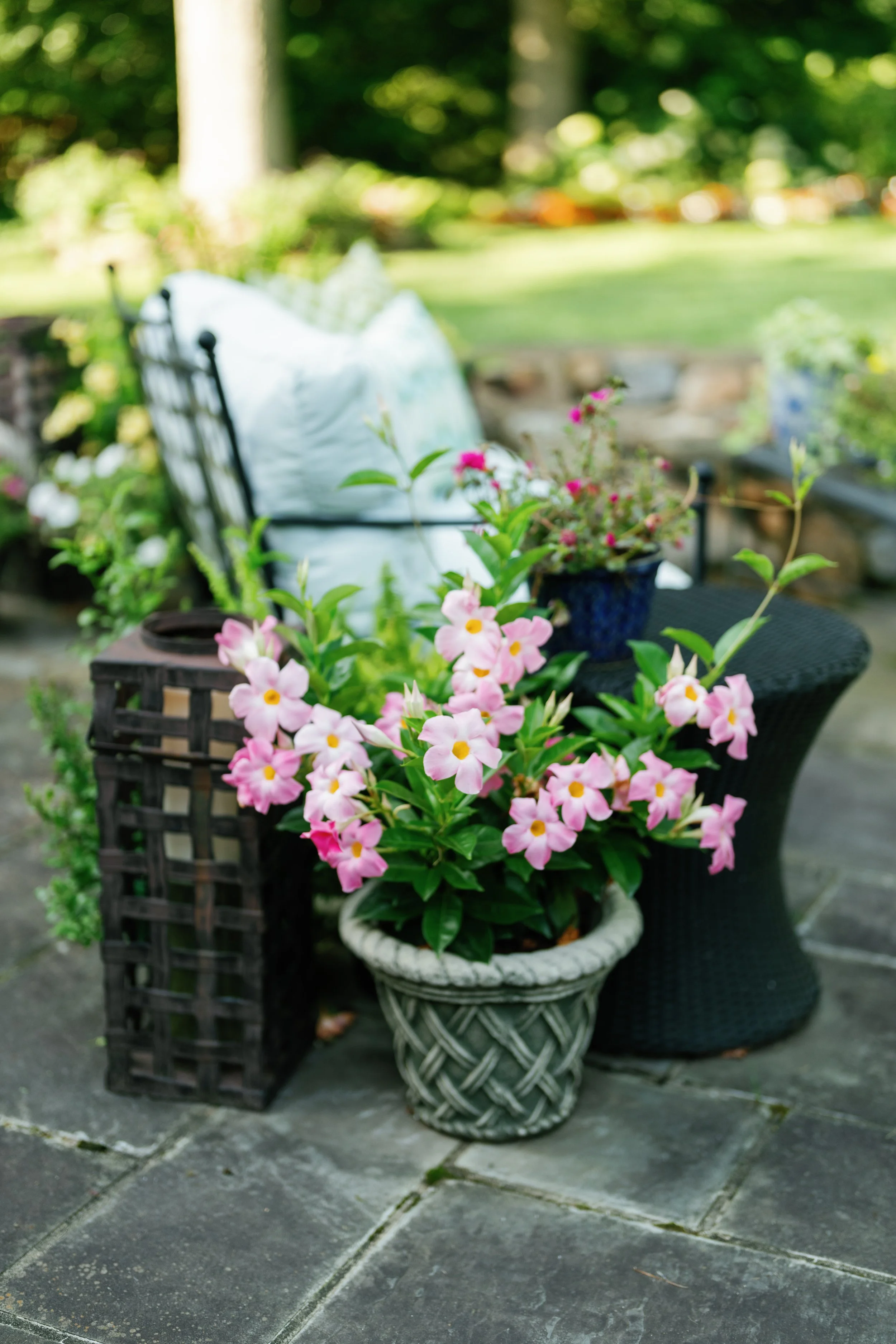 Katharine and Caleb-112.jpg