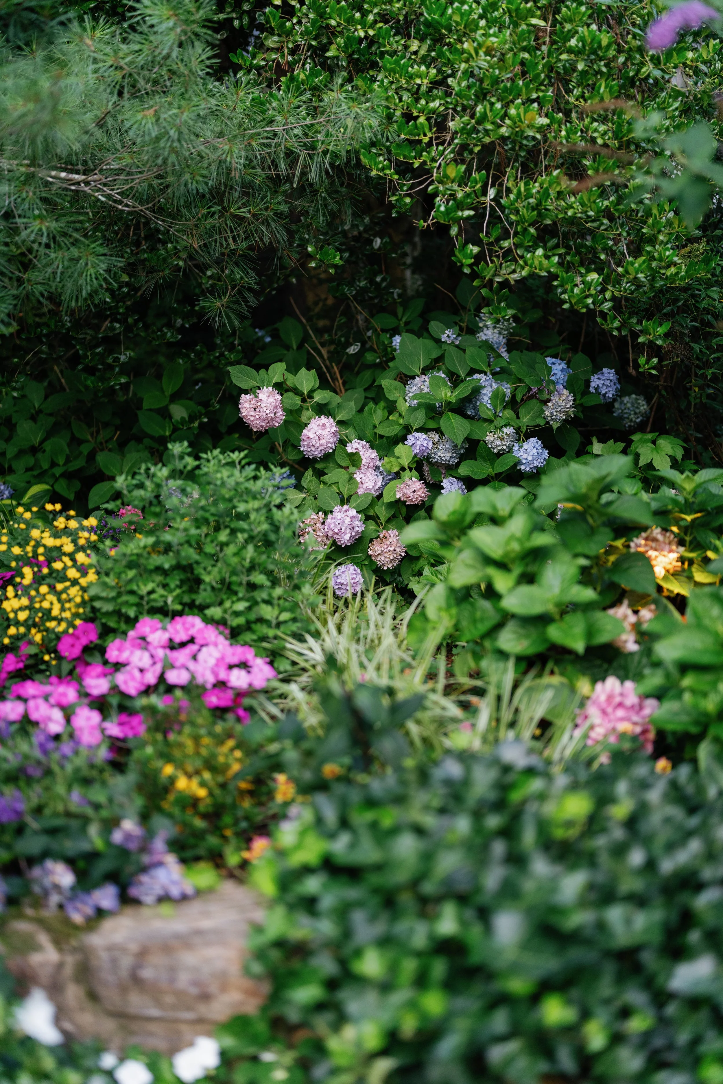 Katharine and Caleb-132.jpg