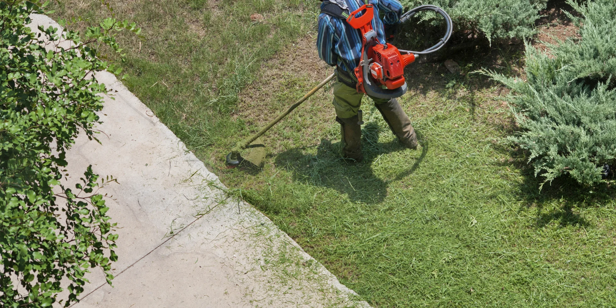 iStock_000045543904_Medium.jpg