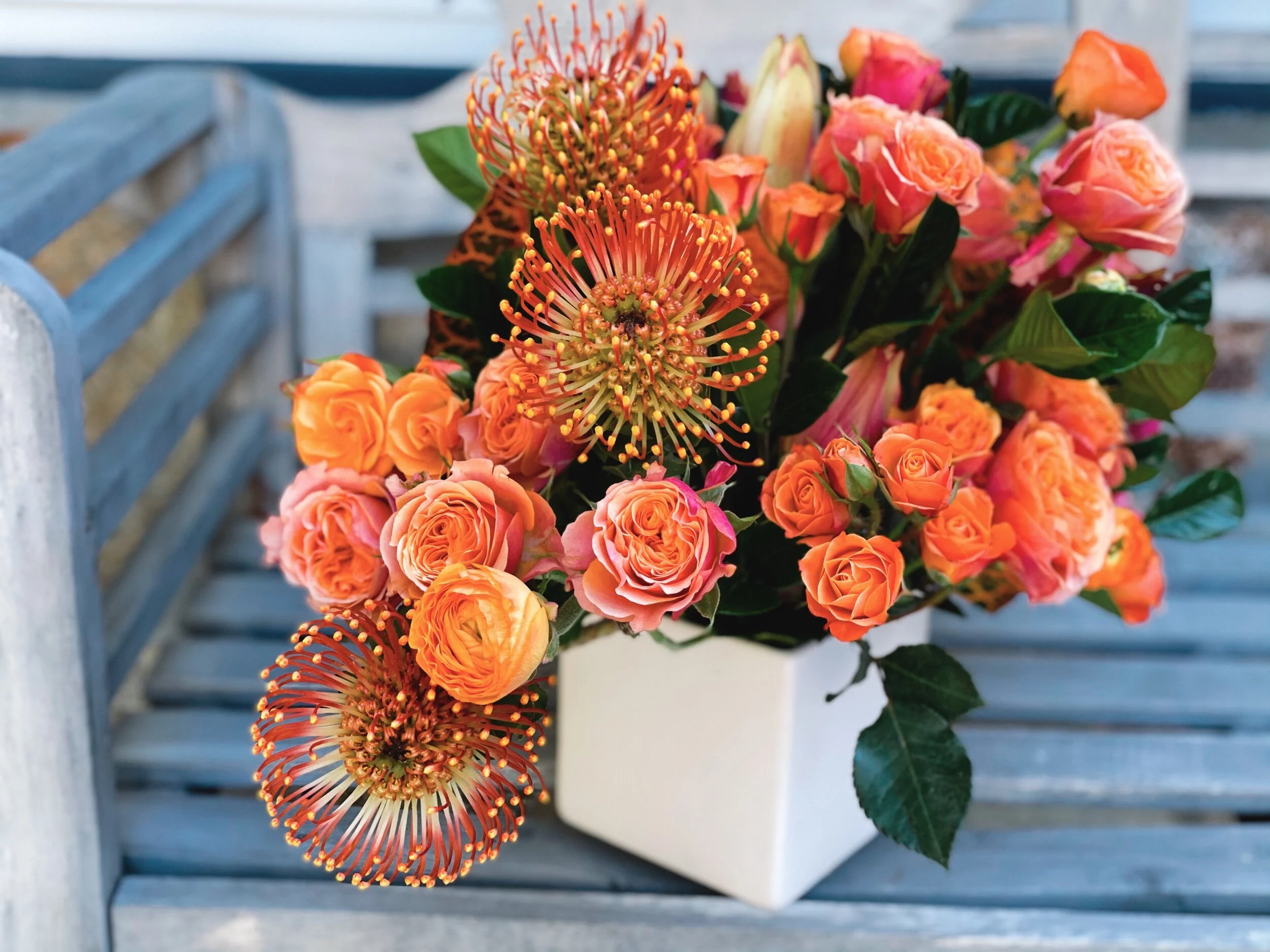 98F2048C-09A1-4177-A870-6209C2A41A90