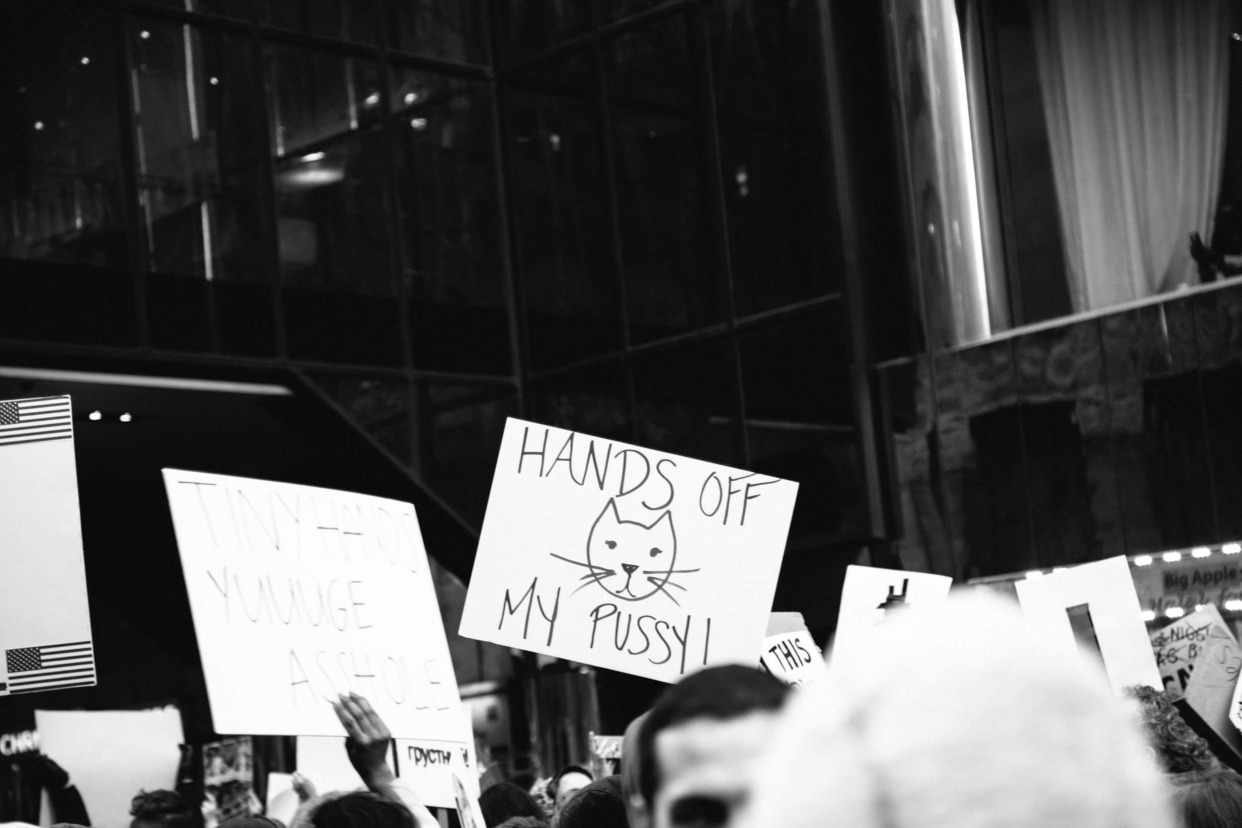 women's march on washington nyc protest signs-103.jpg