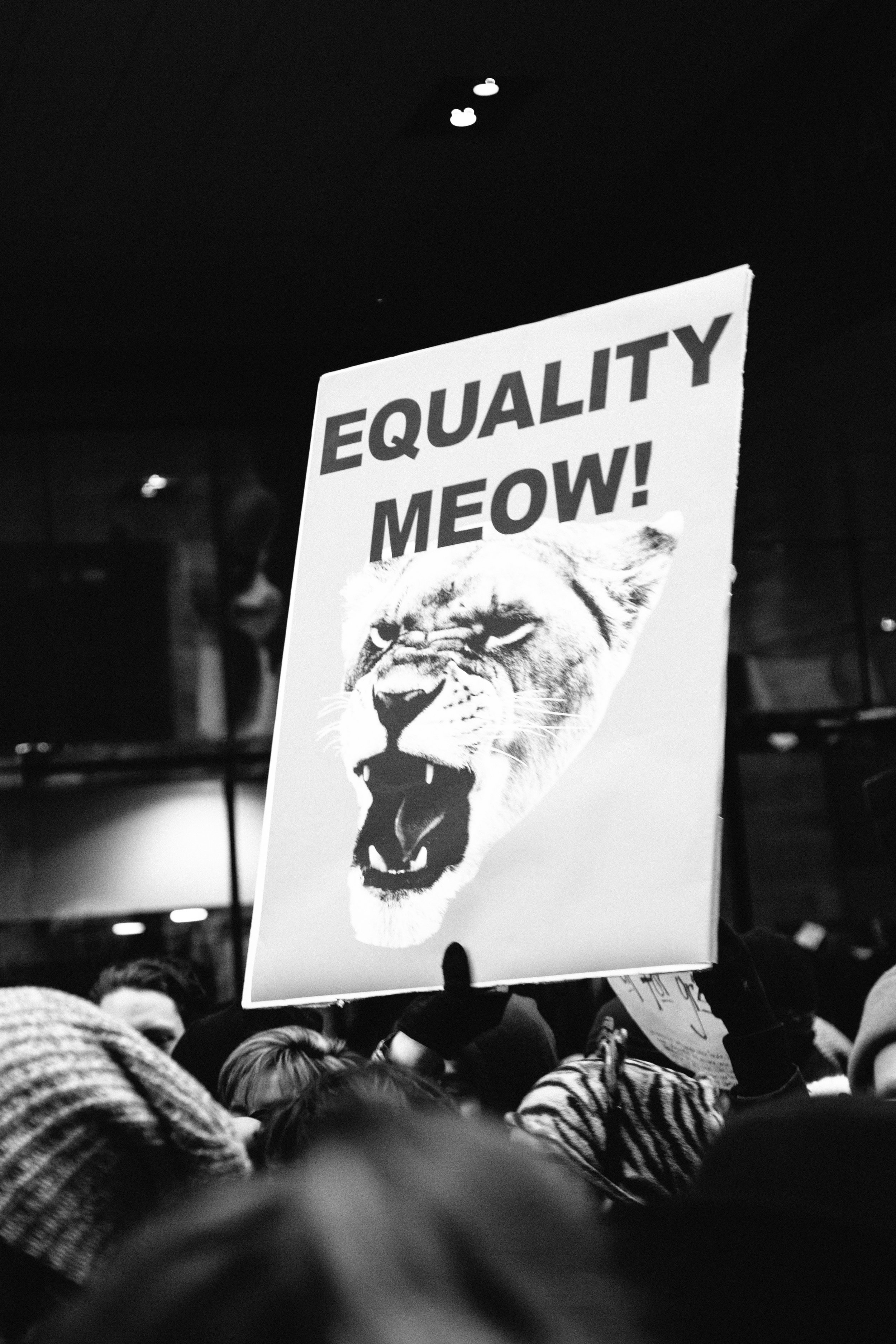 women's march on washington nyc protest signs-109.jpg