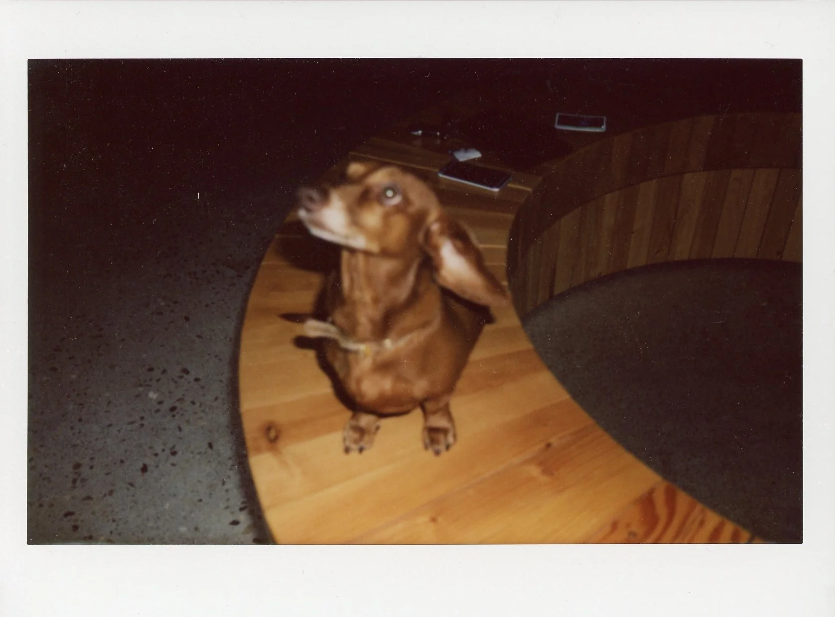 polaroid540.jpg