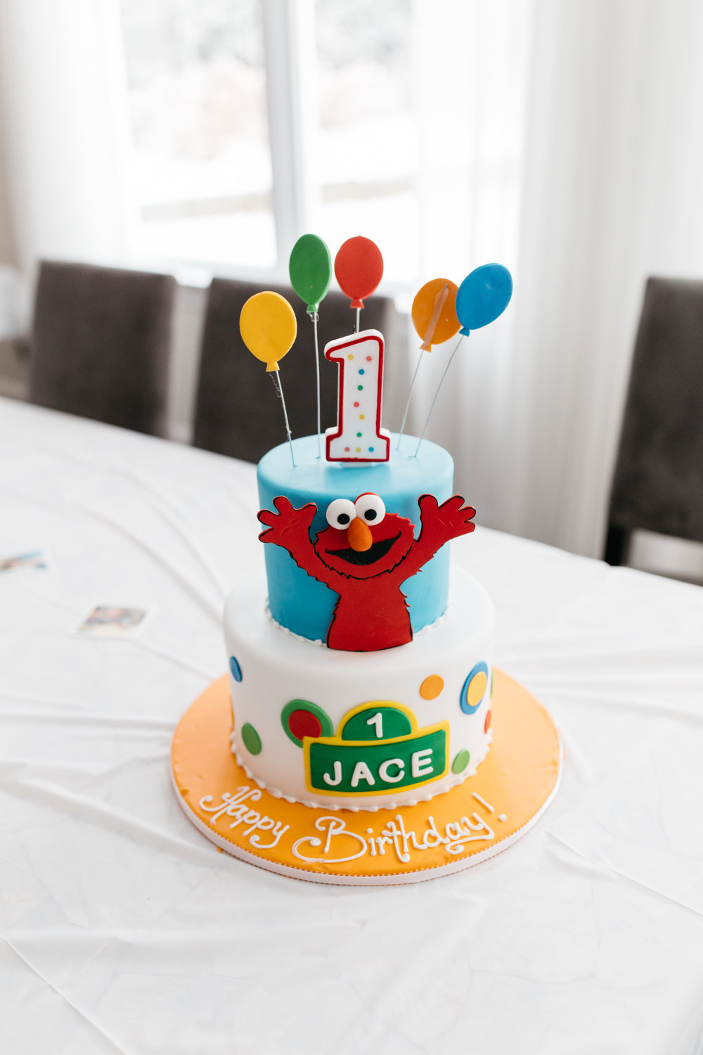 Jace's First Birthday Party - Long Island, NY - Rachel Hanon Photography-222.jpg