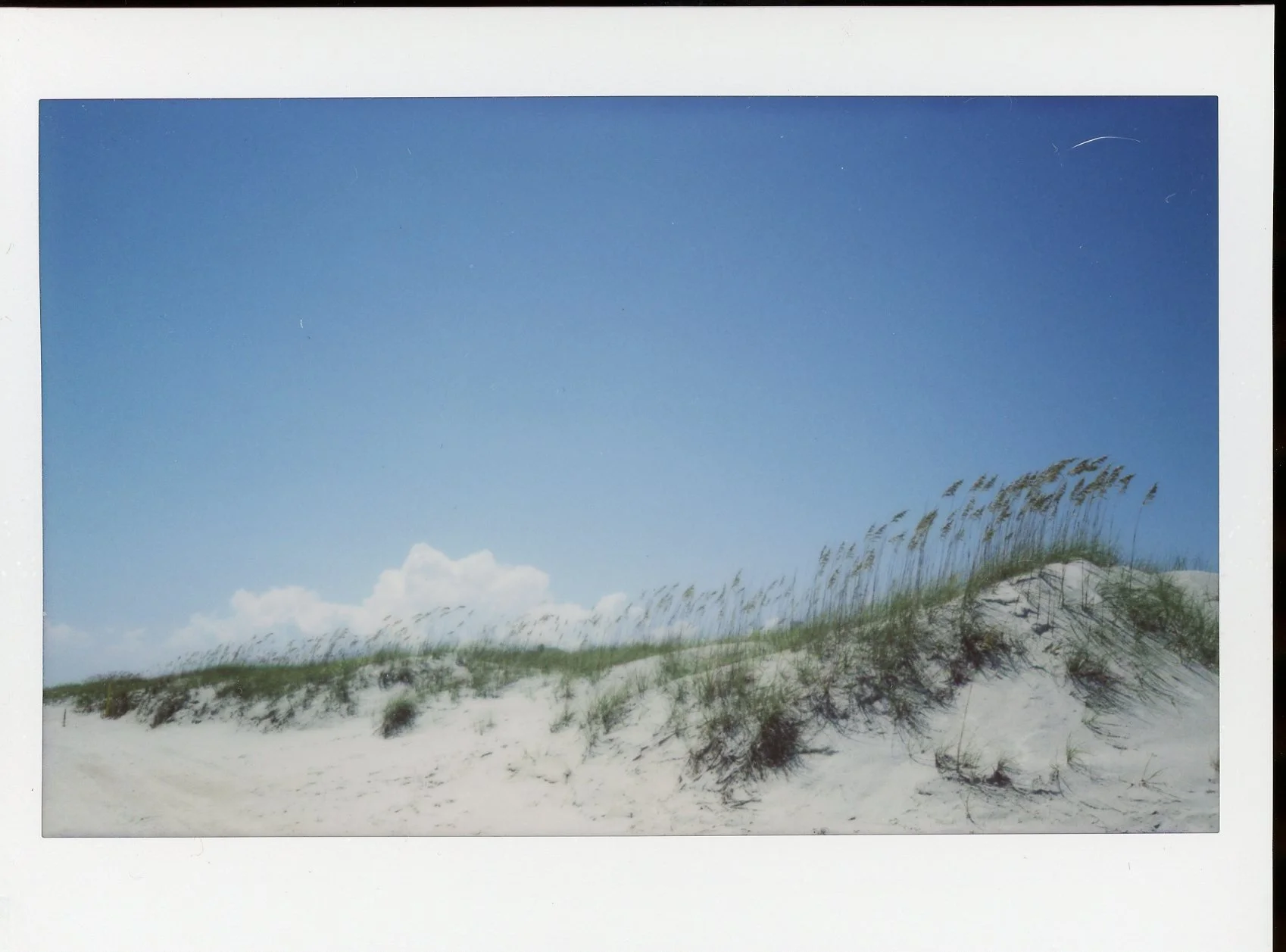 polaroid566.jpg