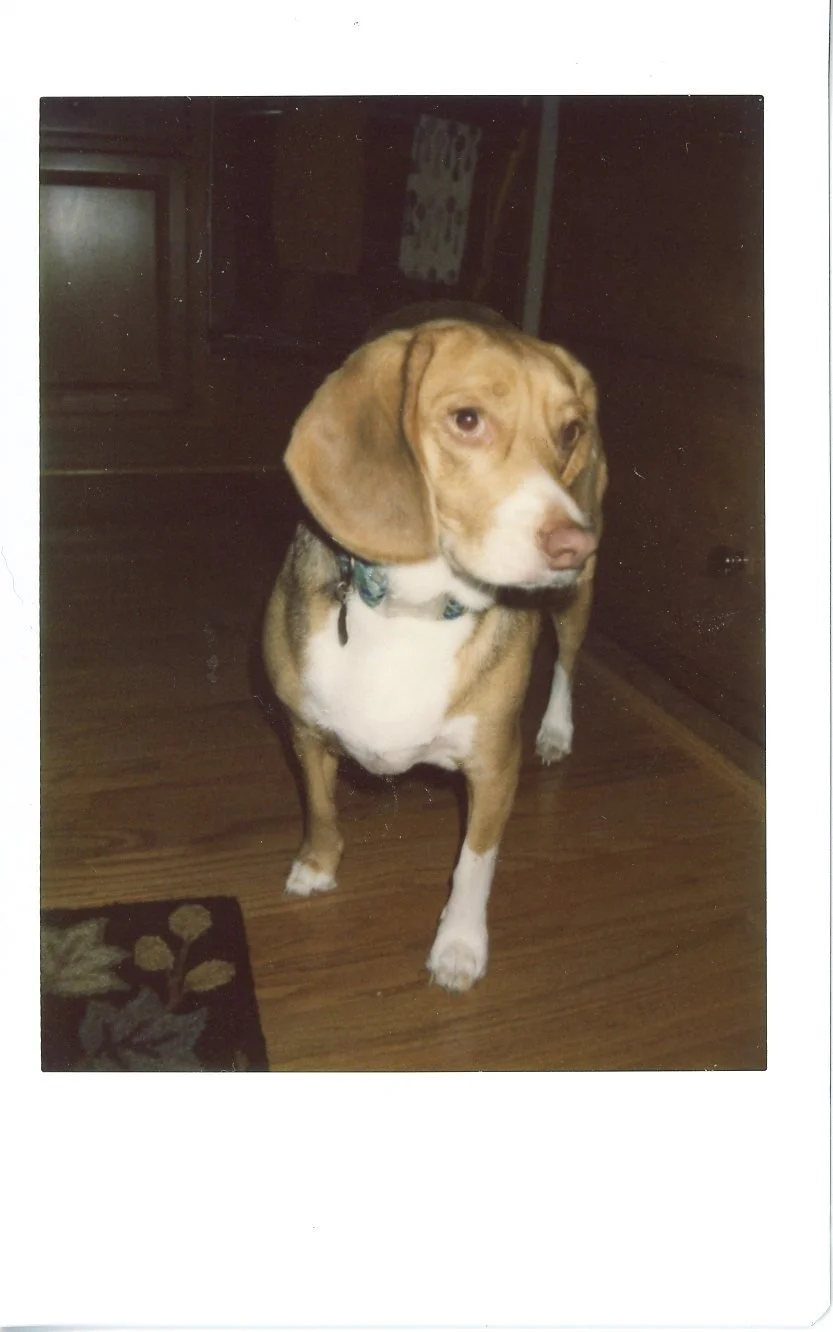 polaroid169.jpg