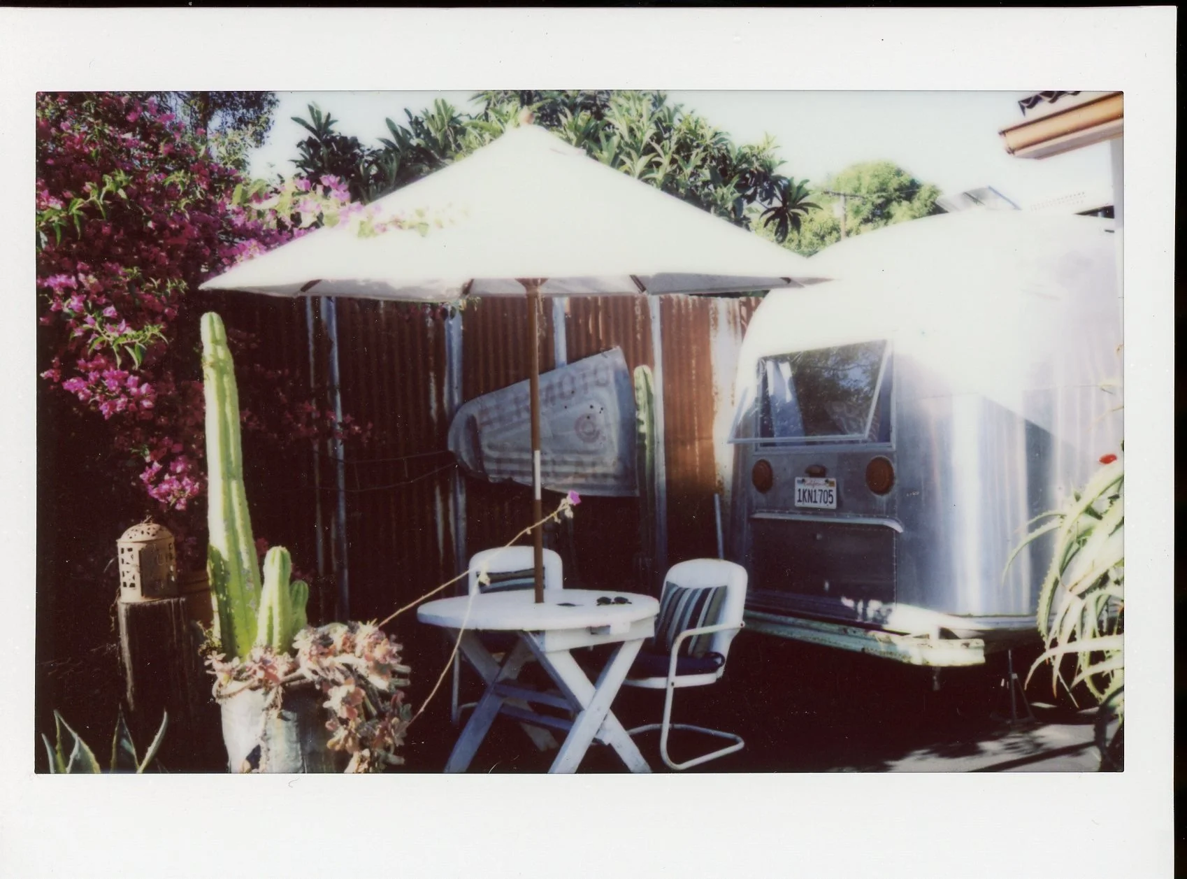 polaroid533.jpg