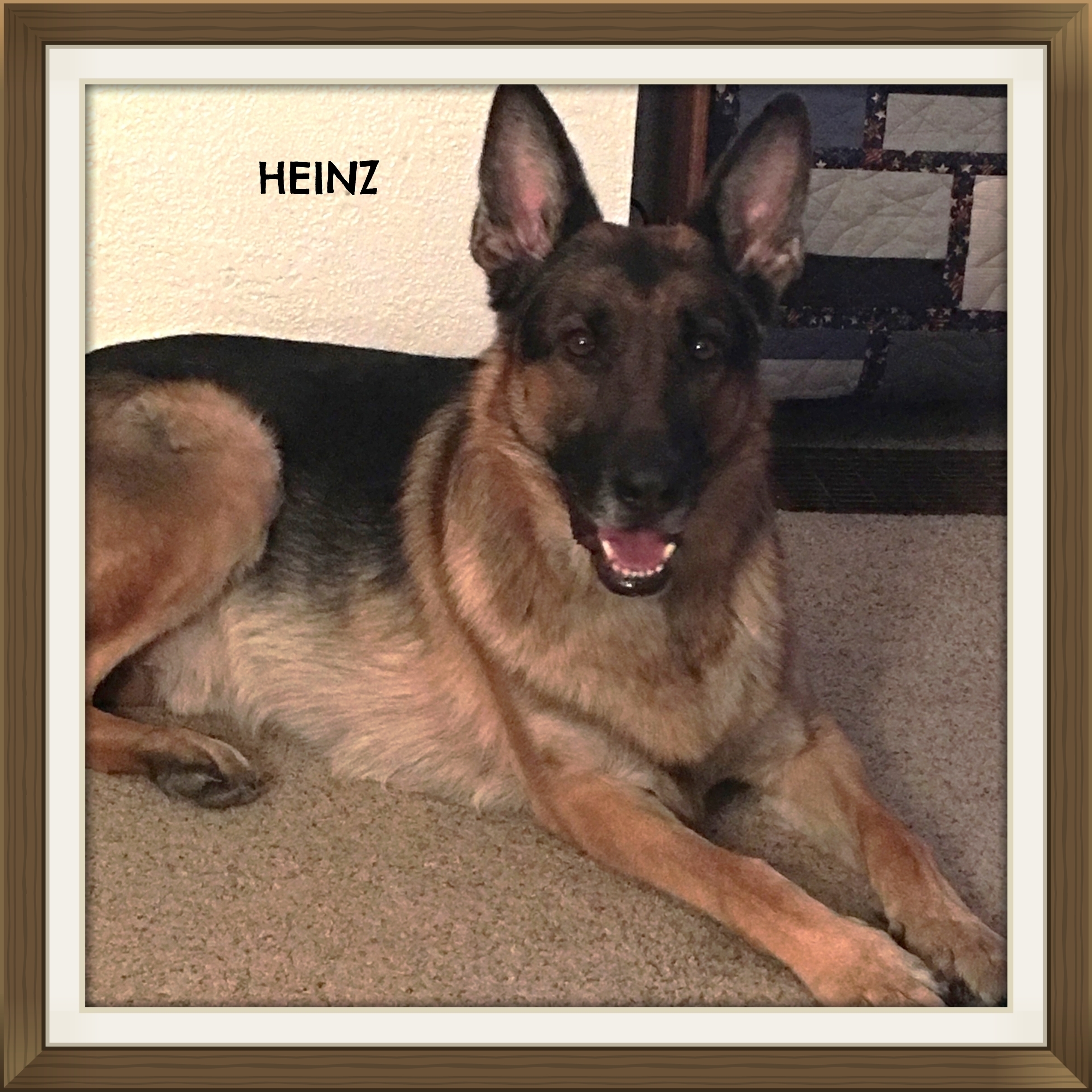 Heinz